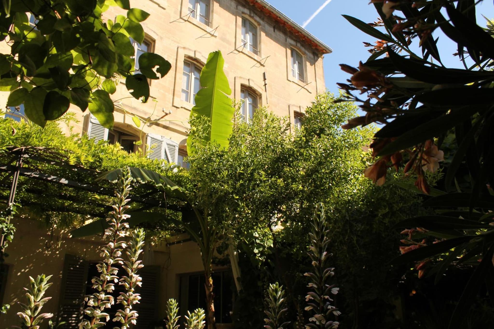 Les Jardins de Baracane photo 3