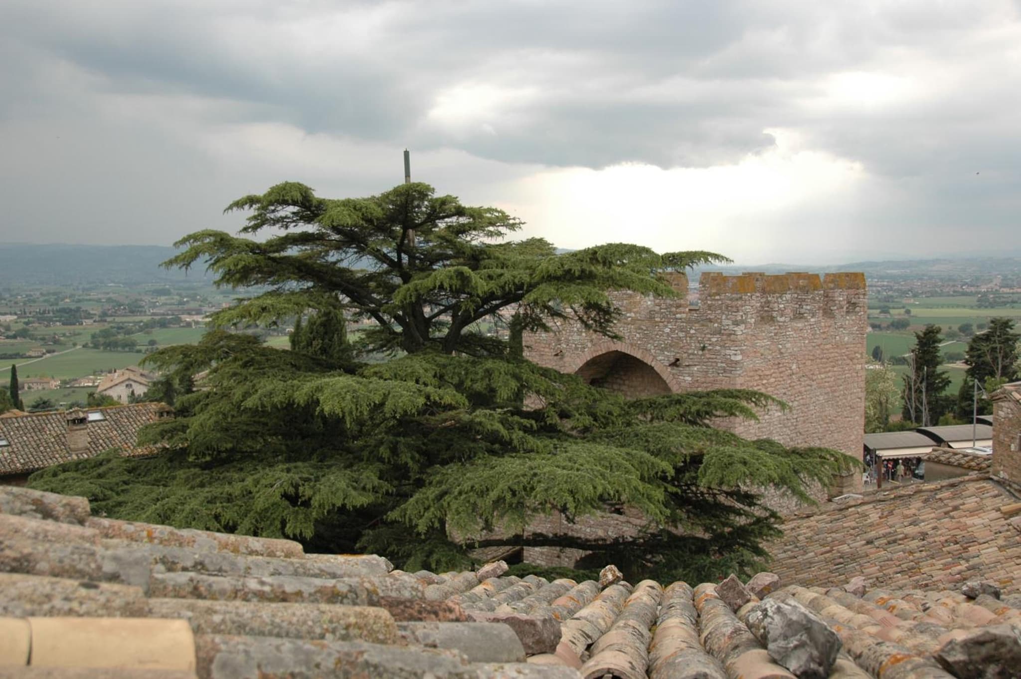 Hotel San Pietro photo 5