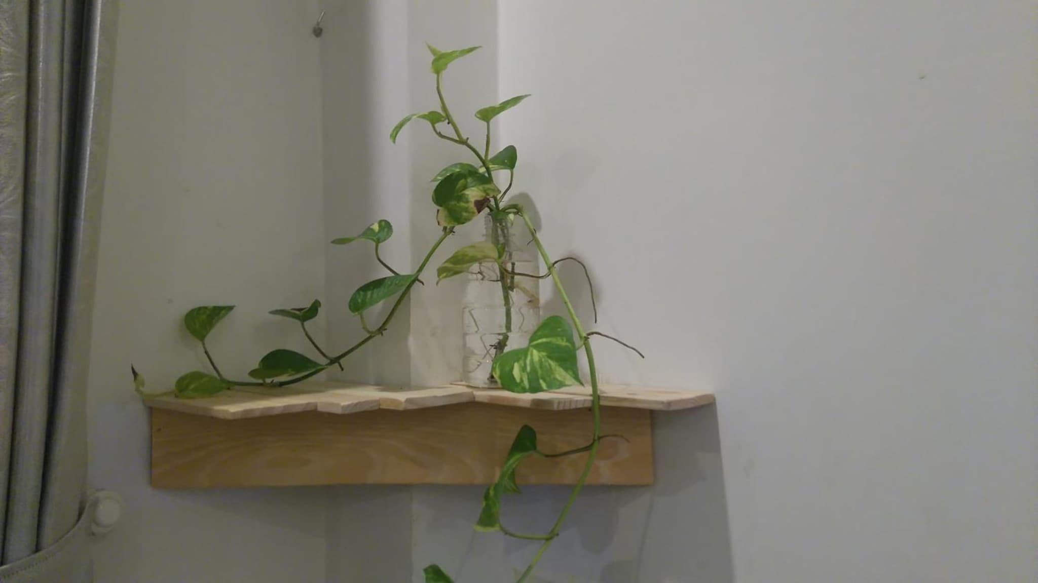 Green CoCo HomeStay photo 7