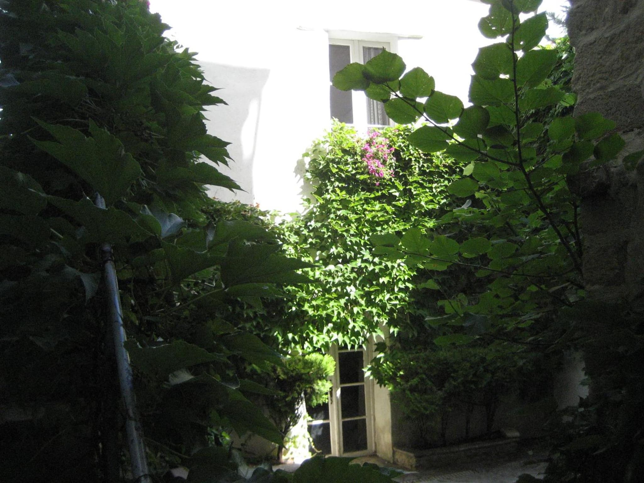 Maison d'Hôtes de l'Evêché photo 8