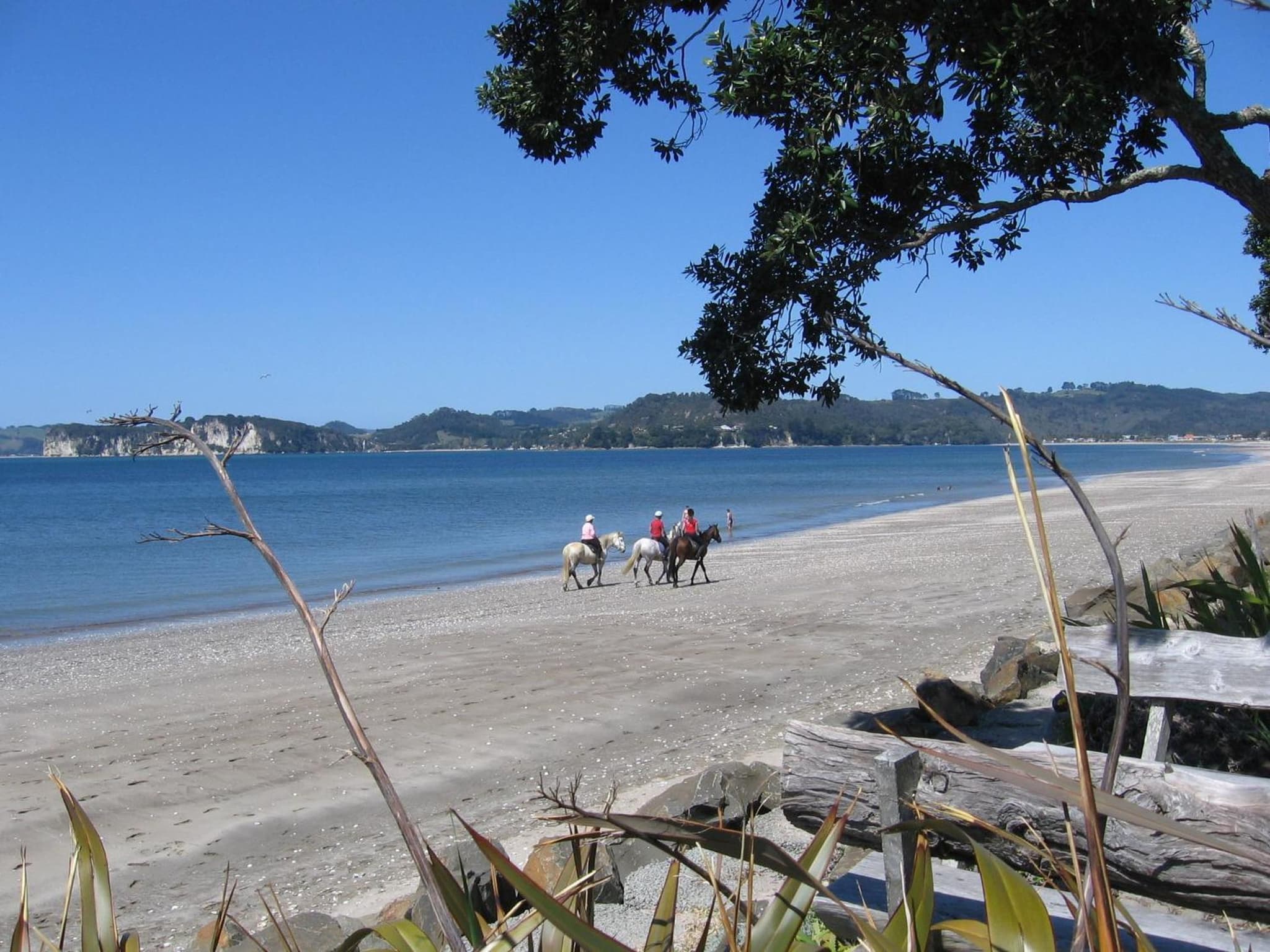 Beachfront Resort photo 9