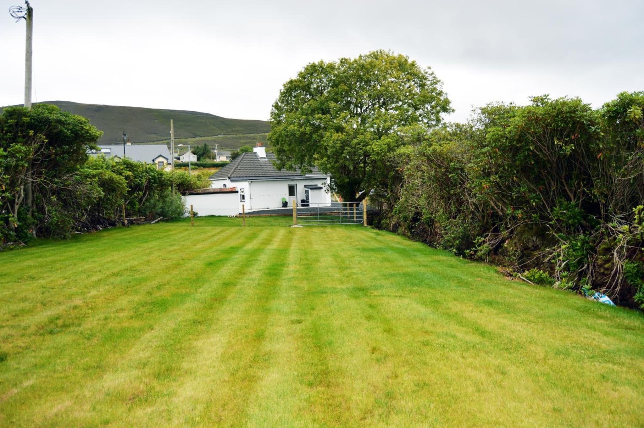 Ash Tree Cottage photo 6