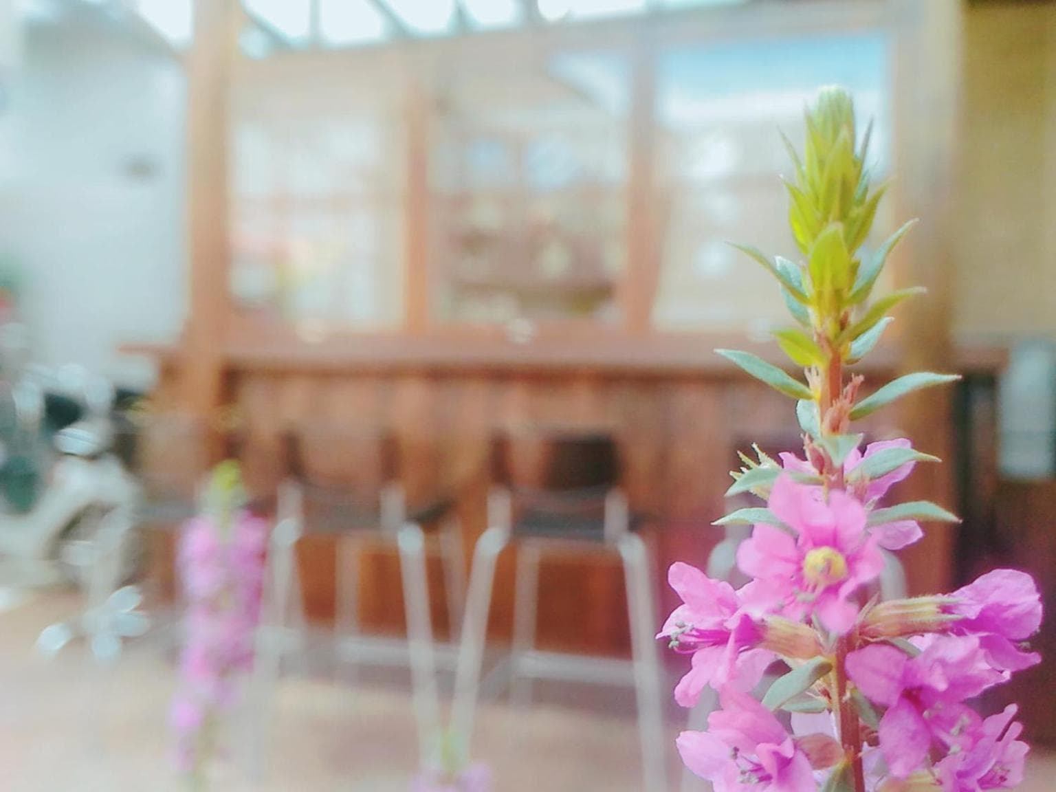 芯禾慢旅-原禾恬cafe&bar photo 4