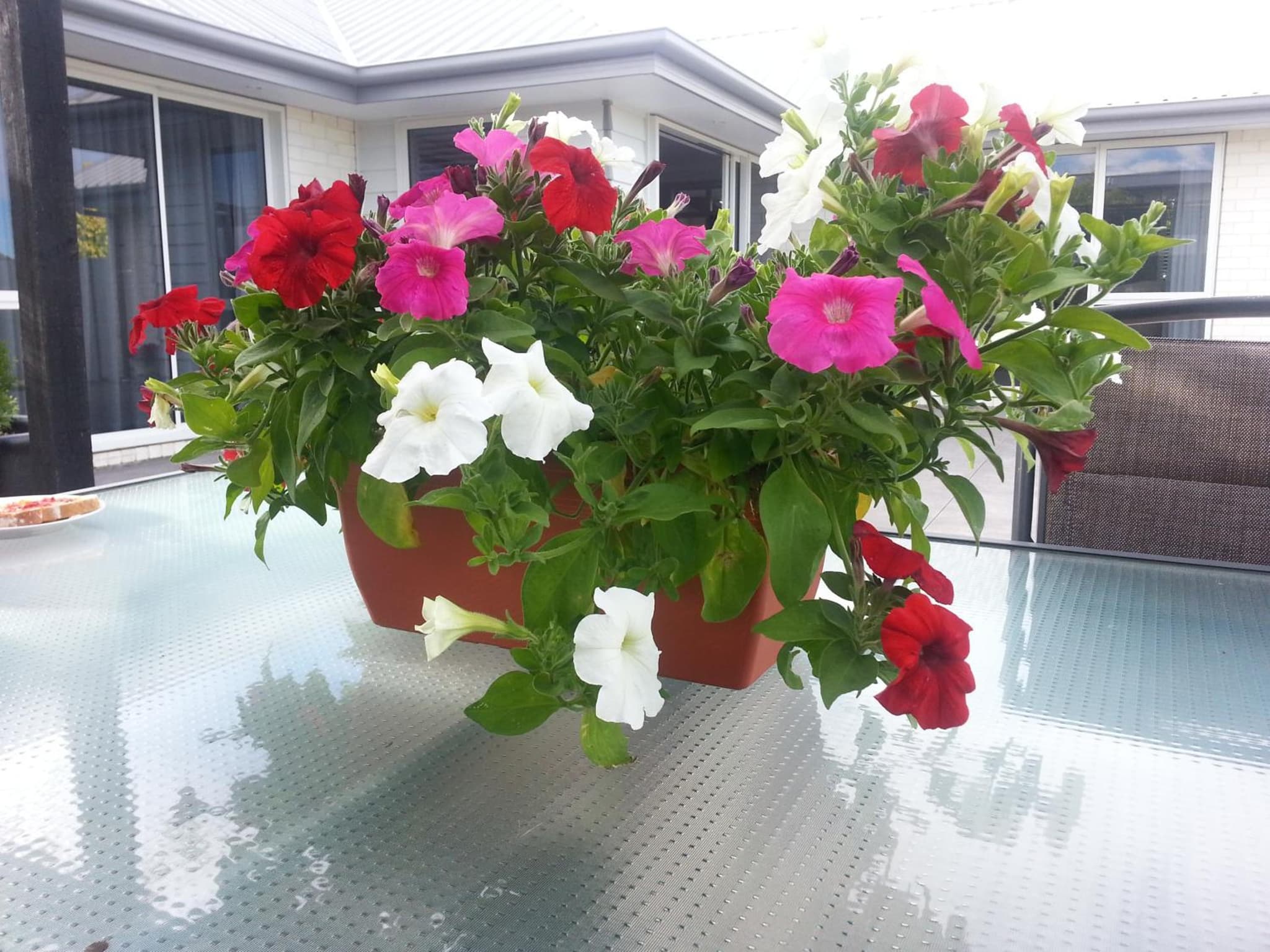 Courtenay B & B photo 9