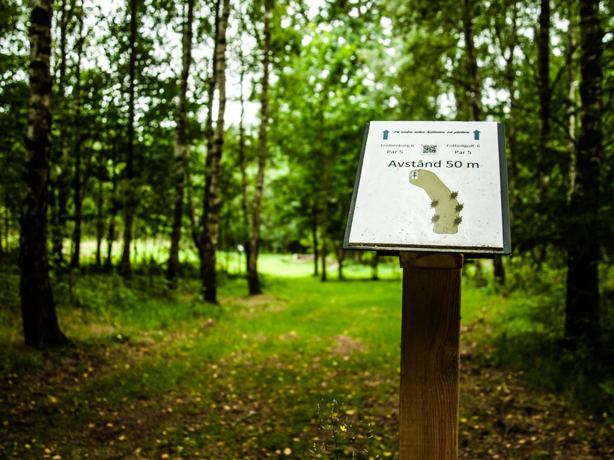 Äventyrscampen photo 8