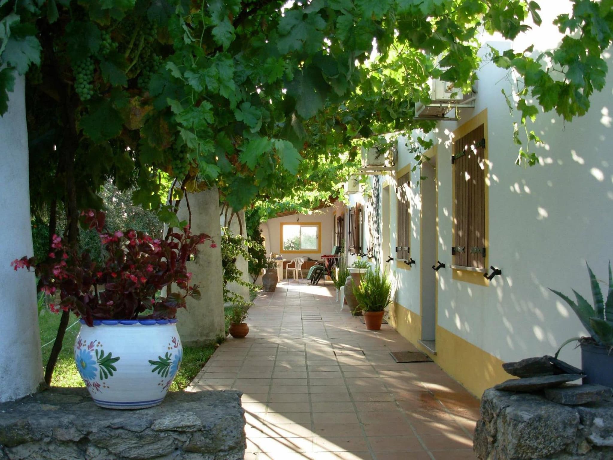 Quinta Paraiso photo 5