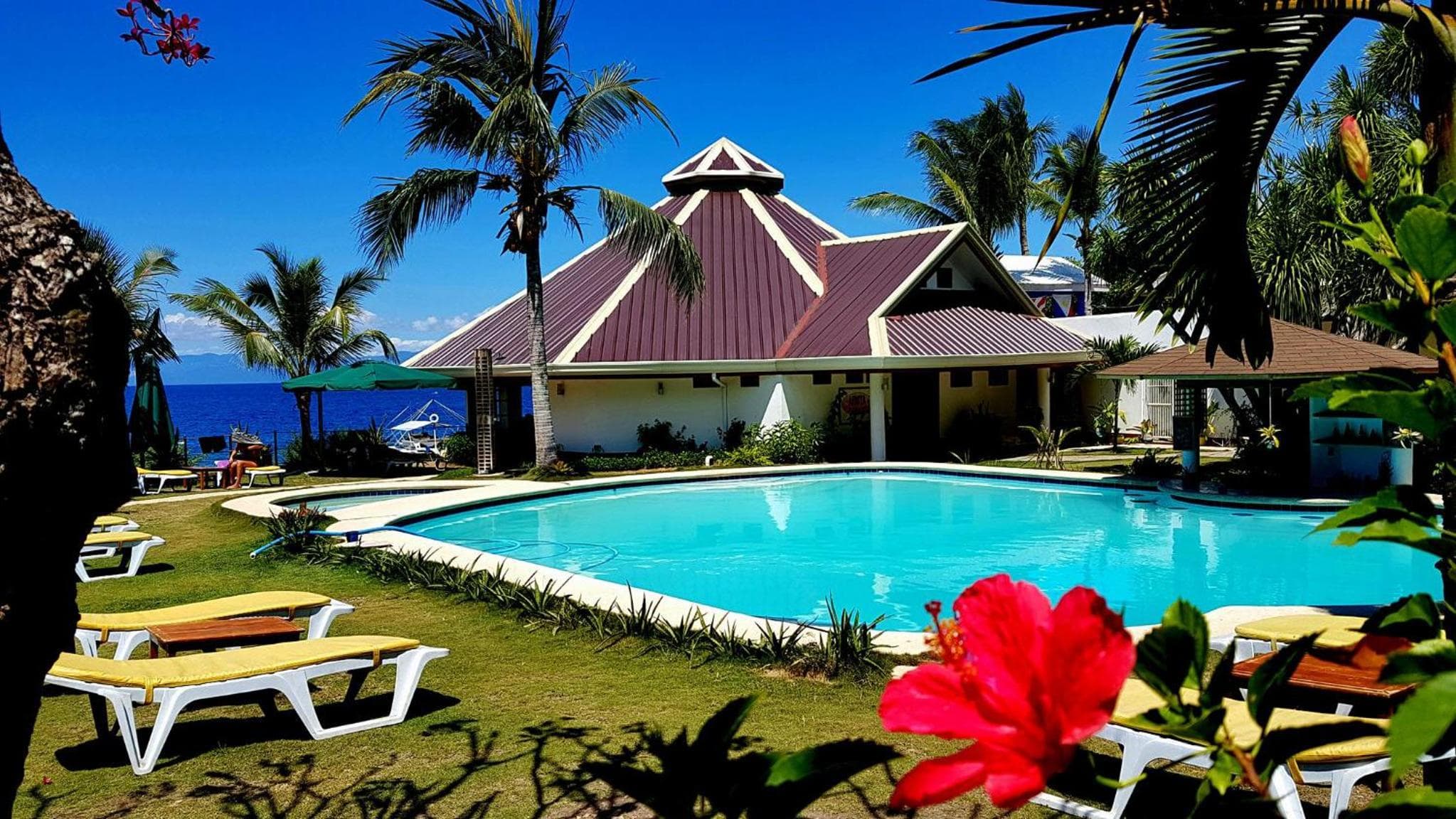 Quo Vadis Dive Resort photo 2