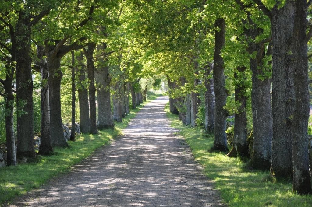 Stålemara Gård Krickan photo 6