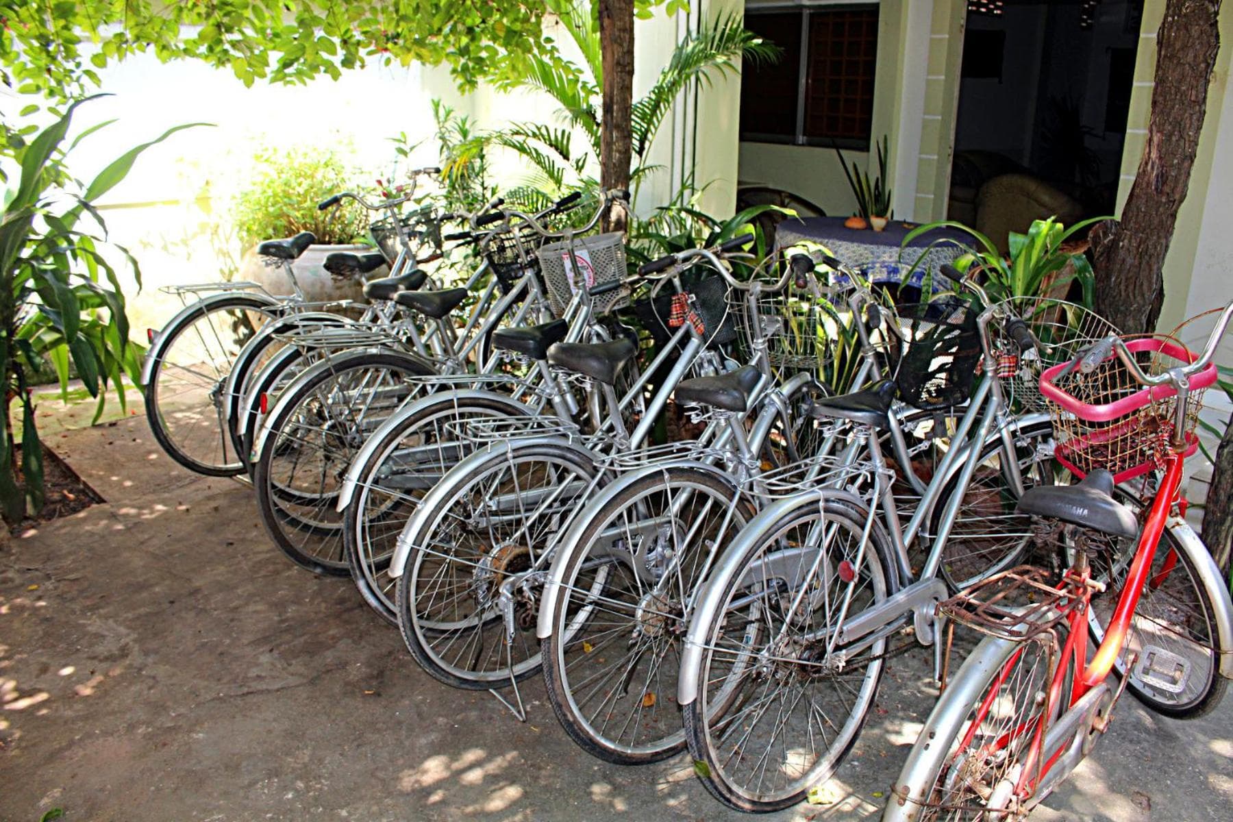 Garden Guesthouse photo 4