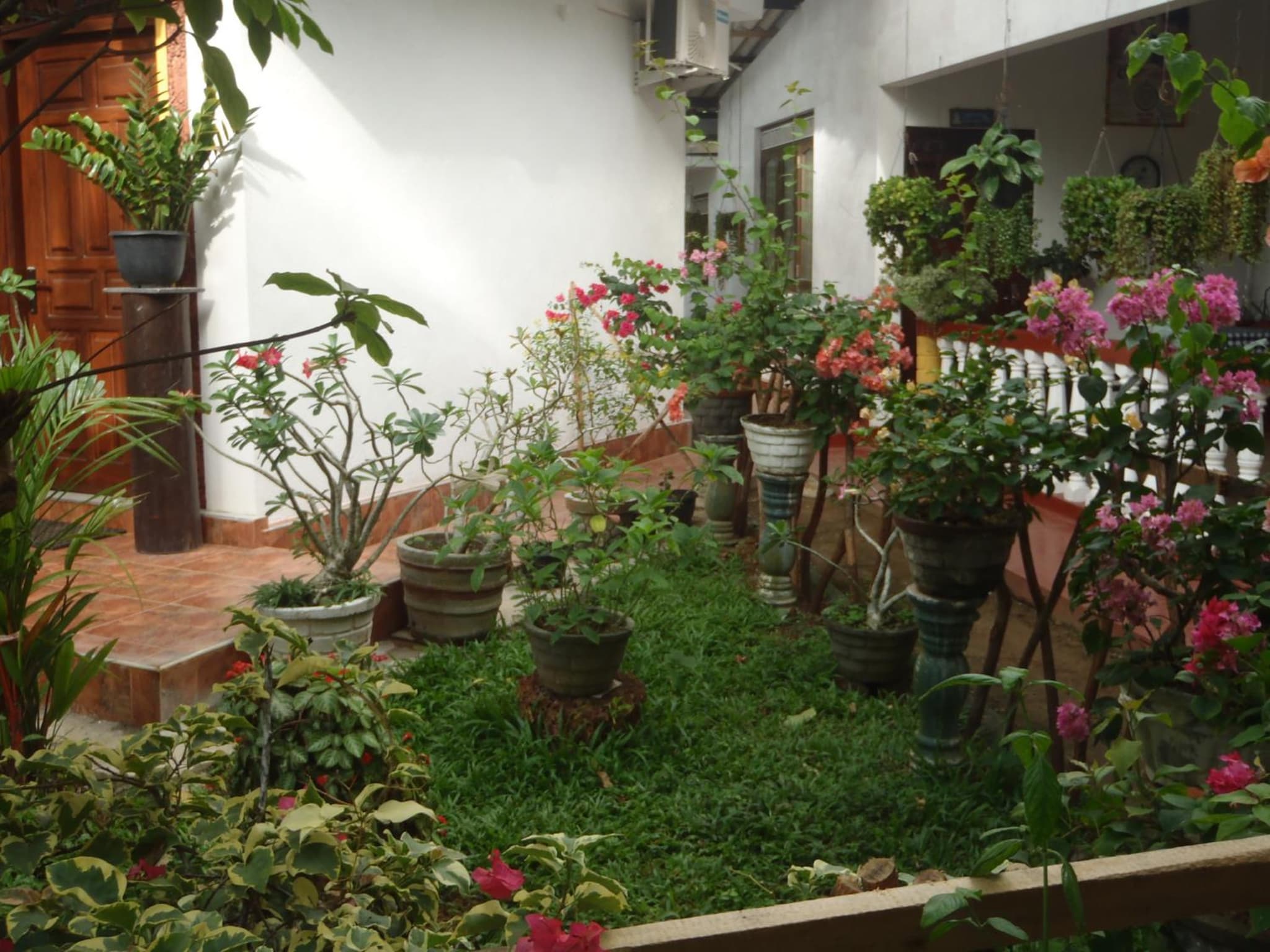 New Jaya Villa photo 7