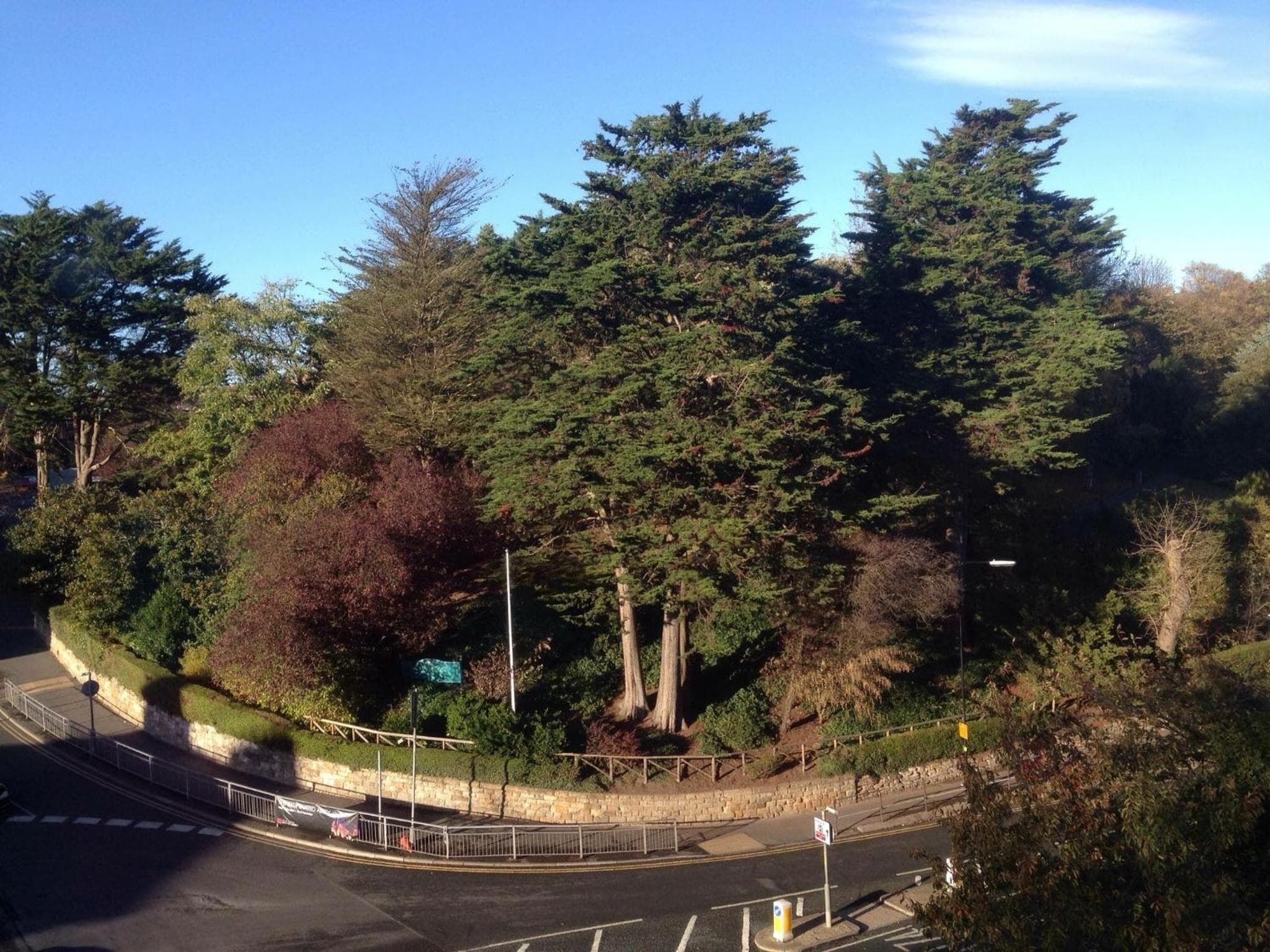 The Grove photo 2