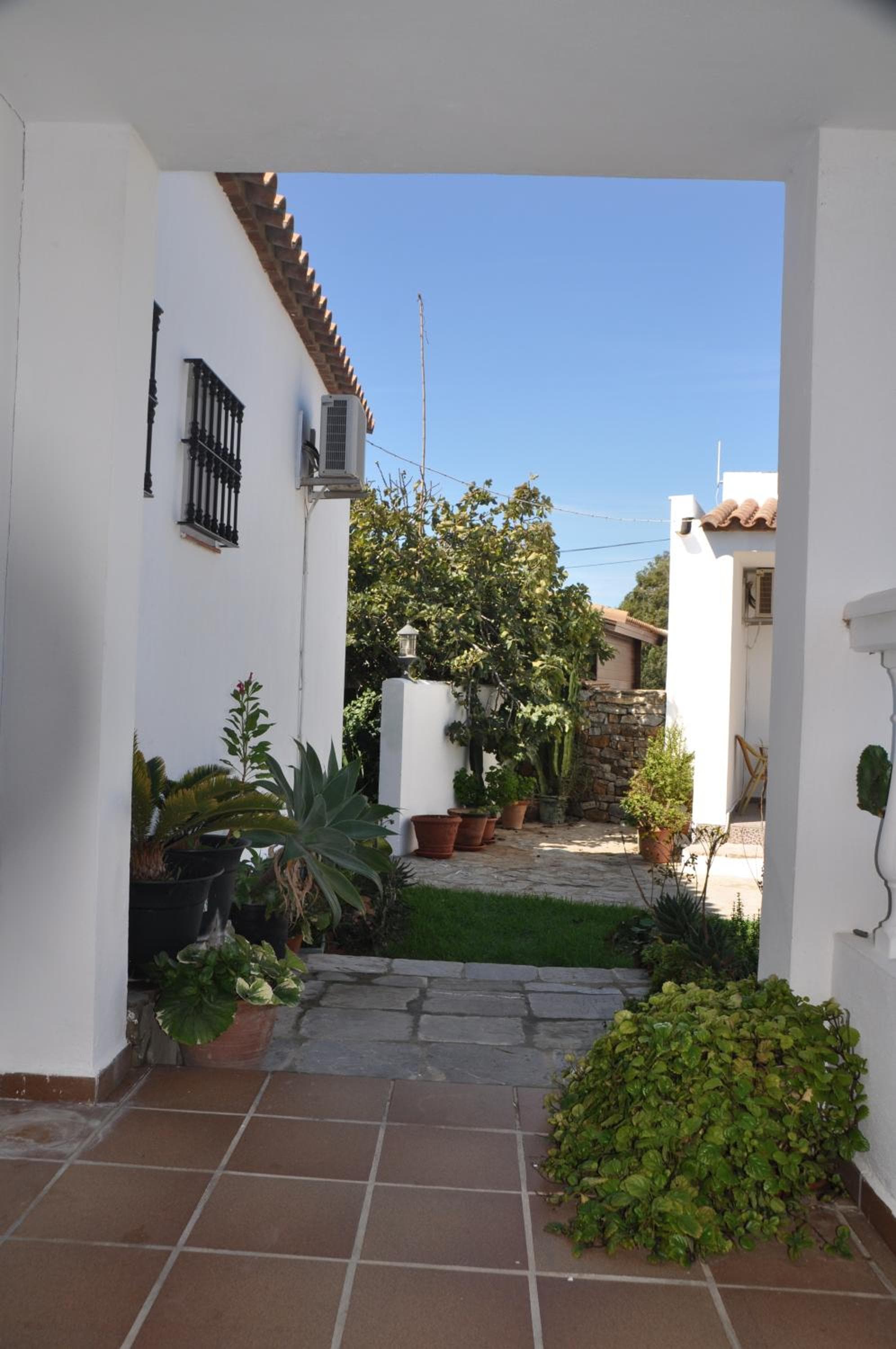 El Levante photo 2