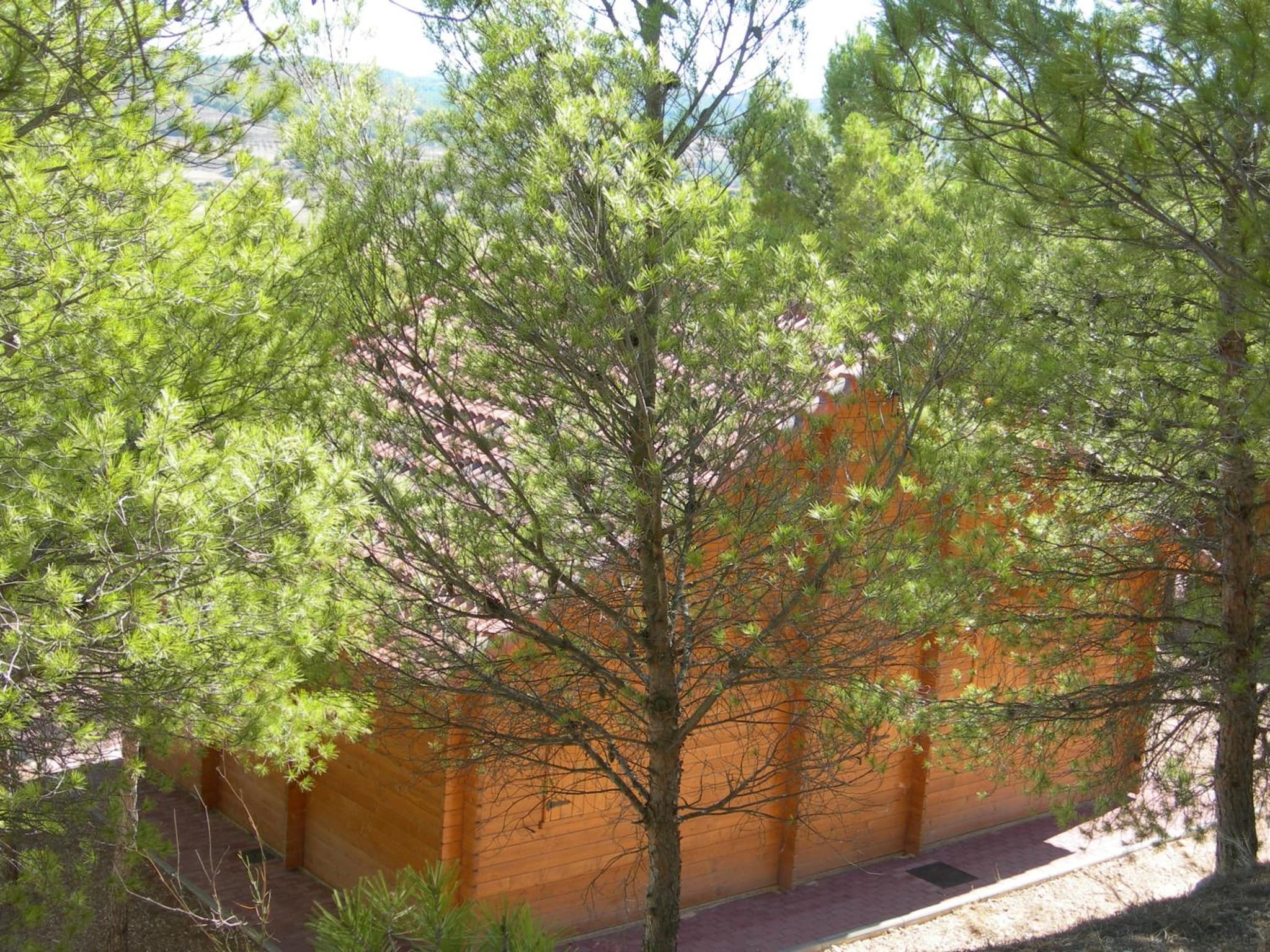 Lago Resort photo 3