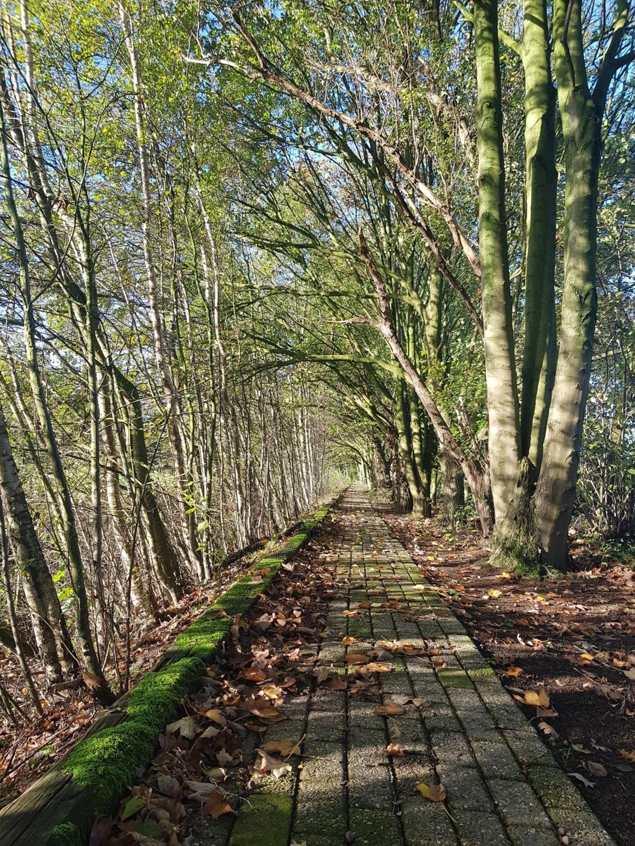 Schaluinenhoeve photo 7