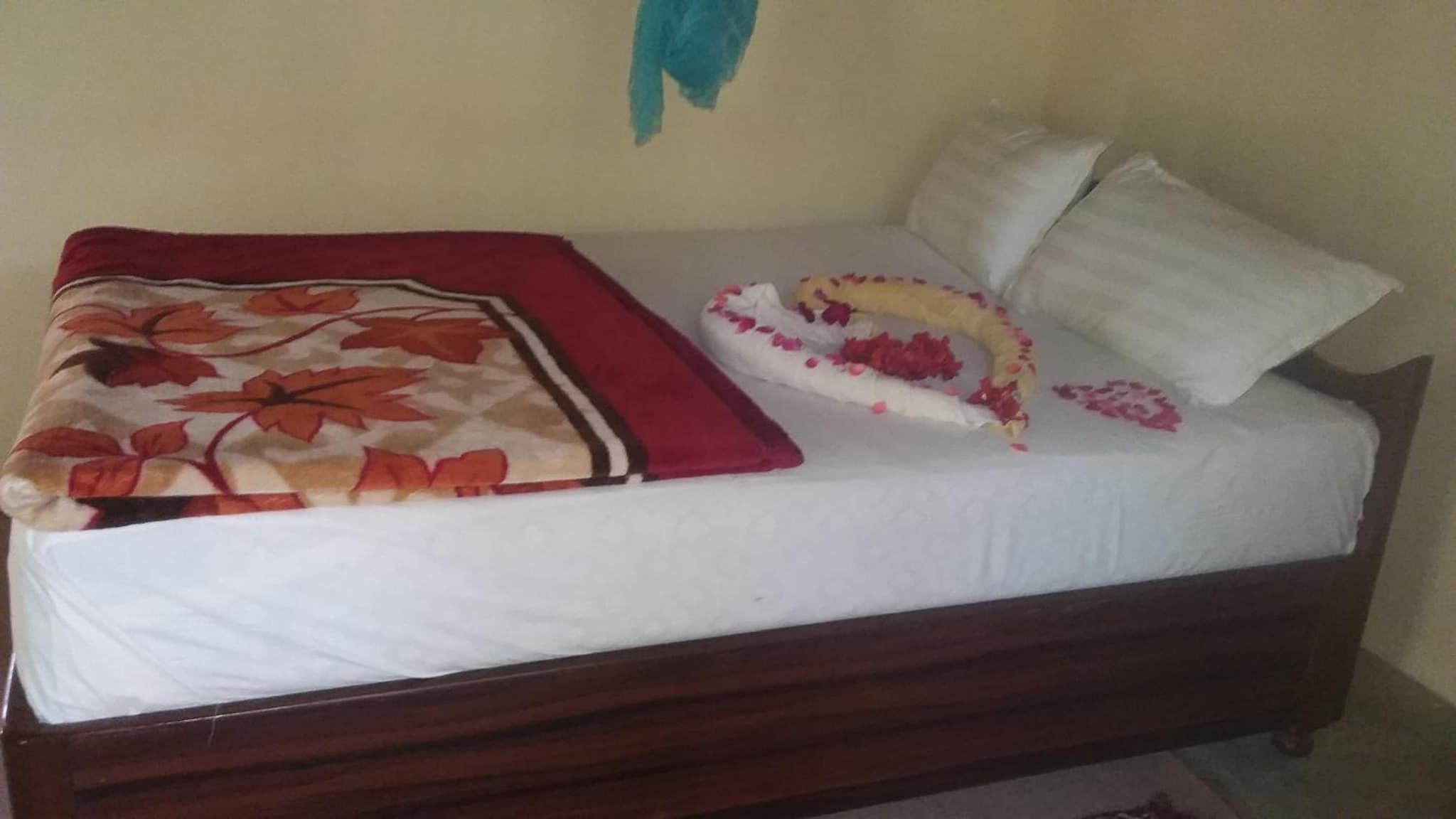 Nature Safari Resort photo 7