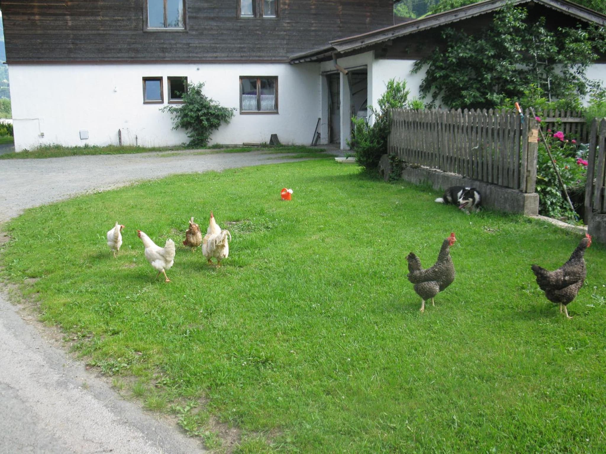 Malernhof photo 4