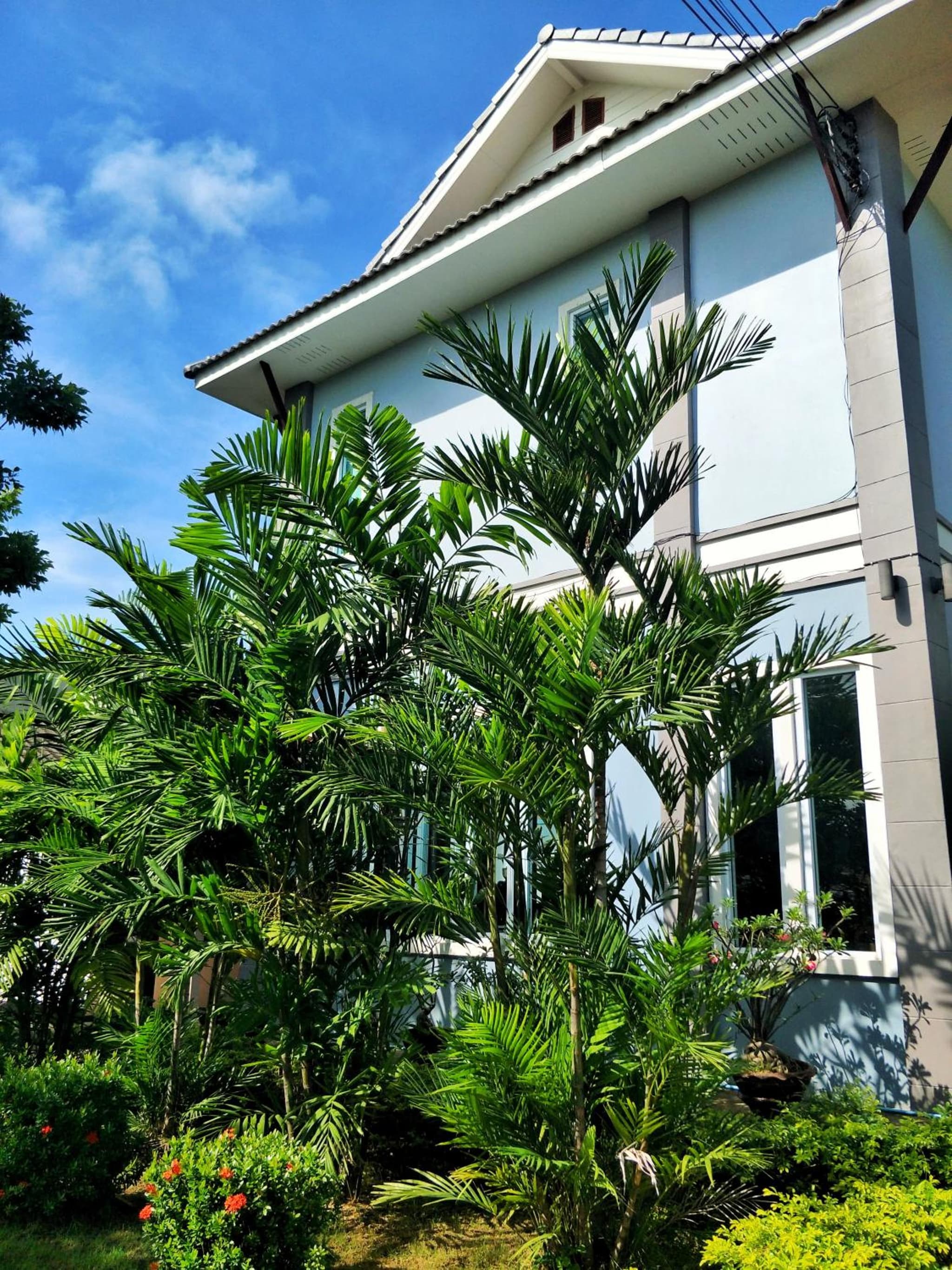 Blue House Sukhothai photo 3