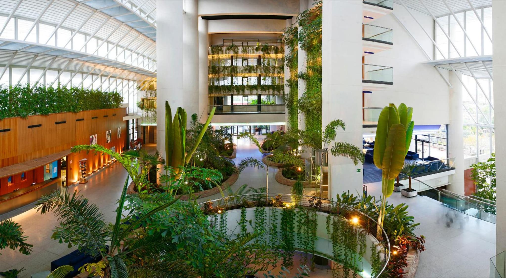 Meliá Benidorm photo 8
