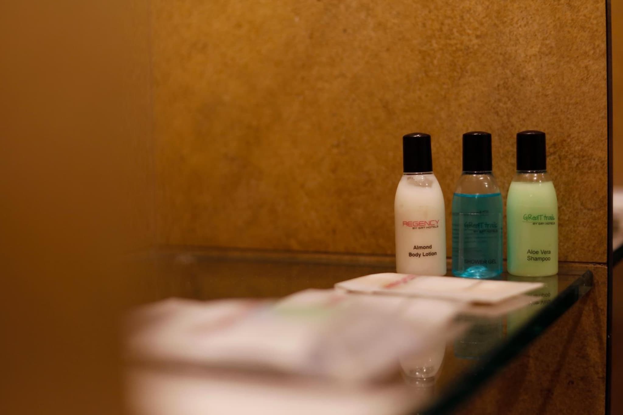 Regency Tirunelveli By GRT Hotels photo 3