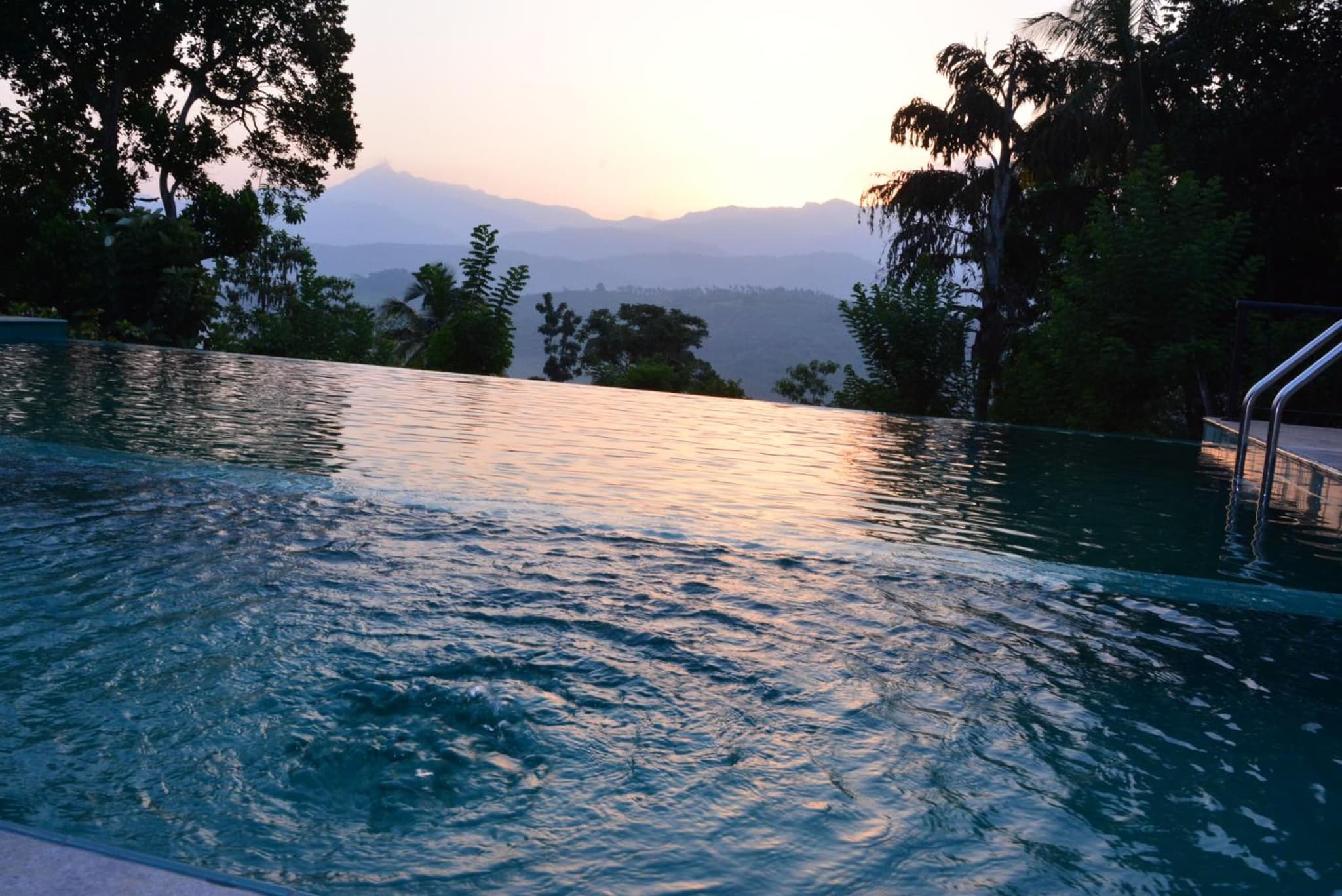 Paradise Forest Garden photo 2