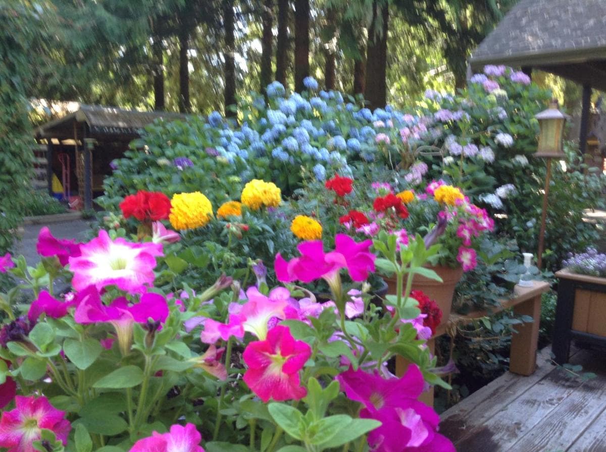Tea Cozy Bed & Breakfast photo 7