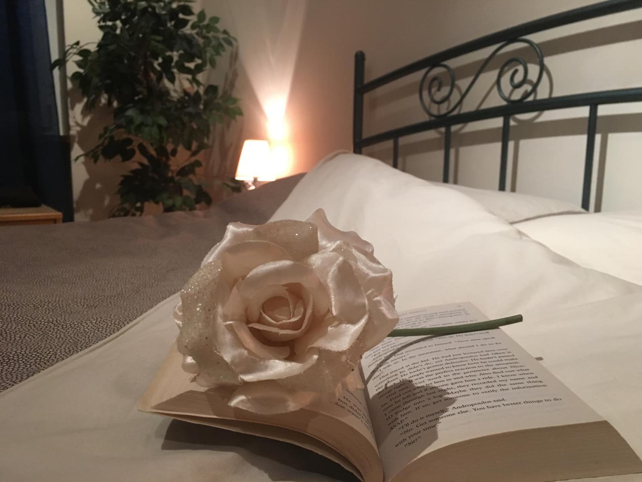 Juliet Room