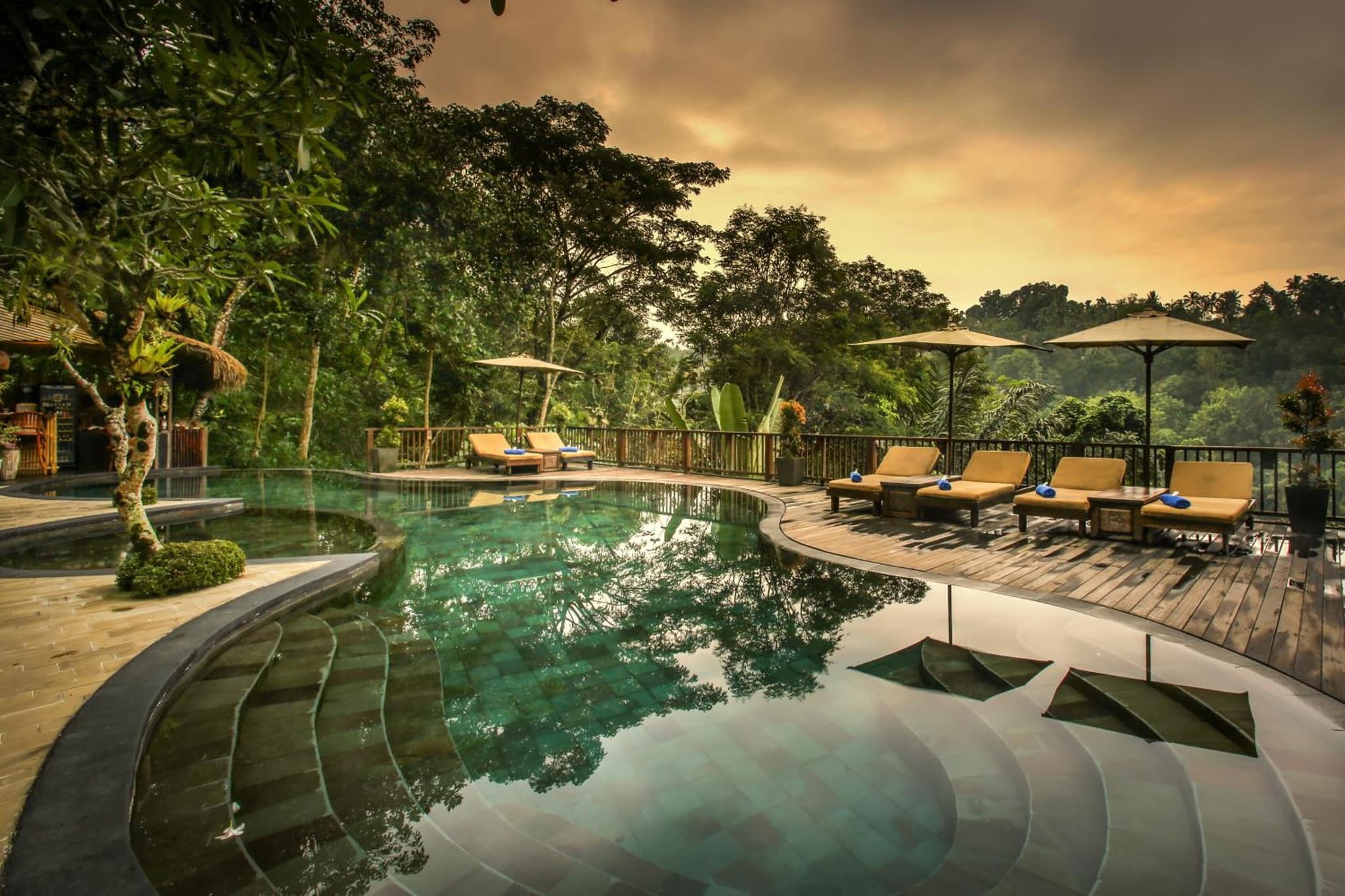 Nandini Jungle by Hanging Gardens photo 7