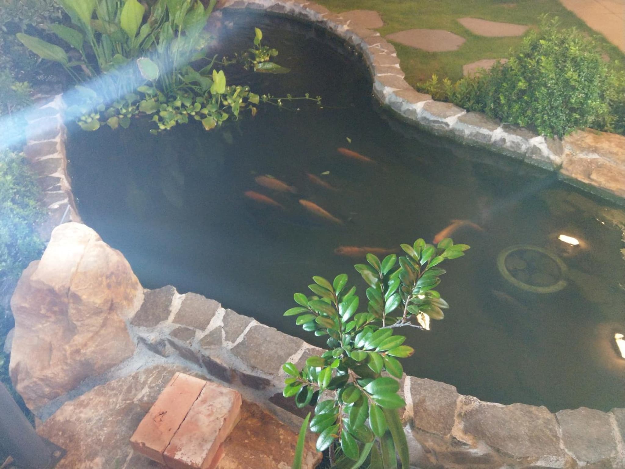 Yan Sha Wan B&B photo 3
