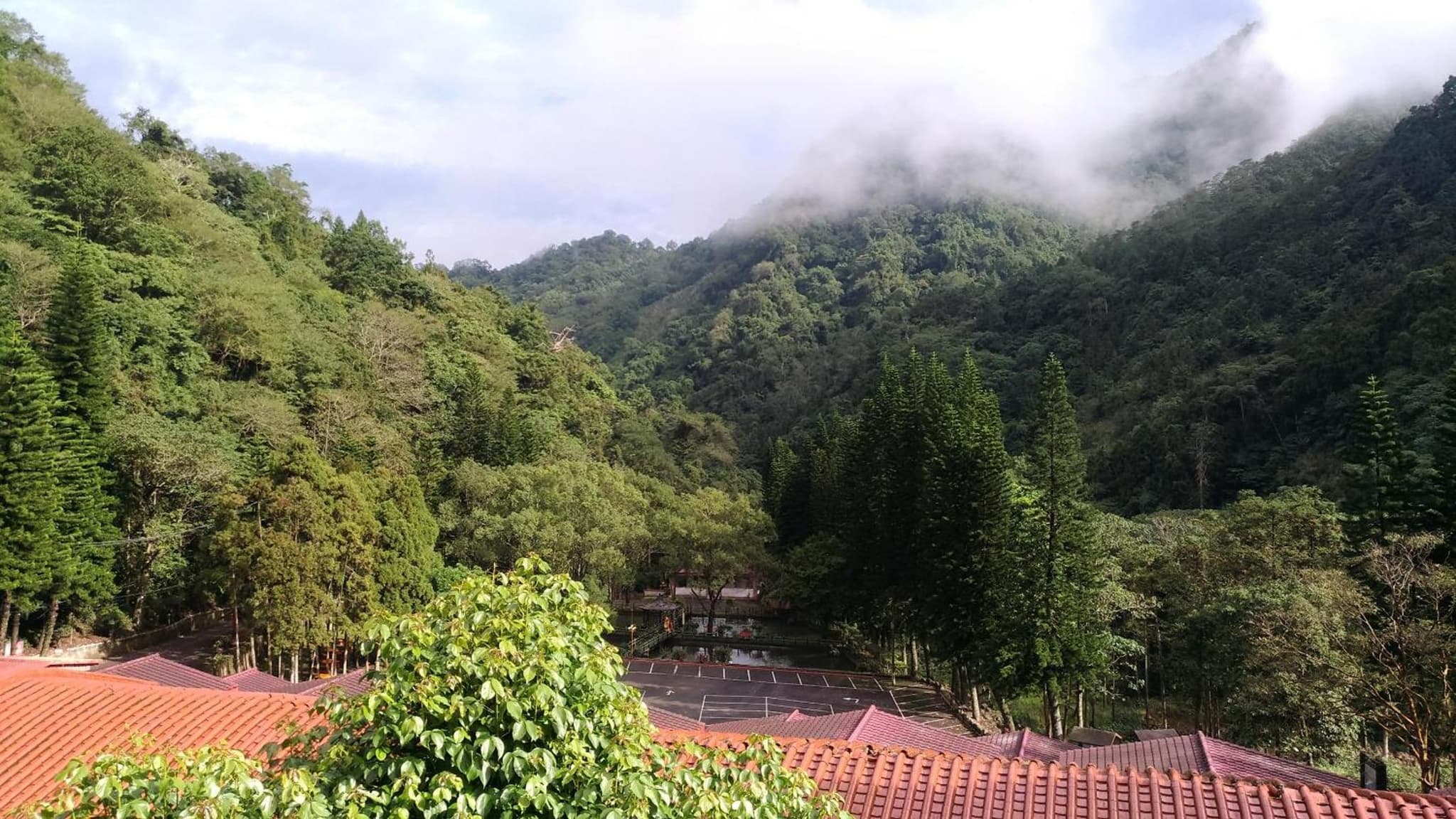 Chun Gu Farm photo 9