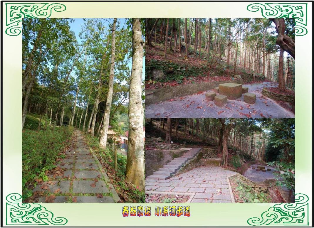 Chun Gu Farm photo 7
