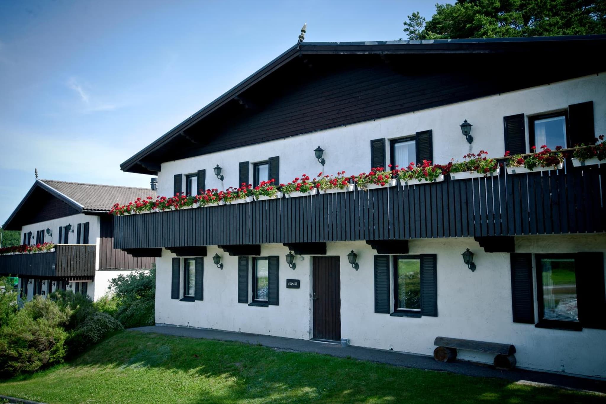 Rasta Håby photo 5