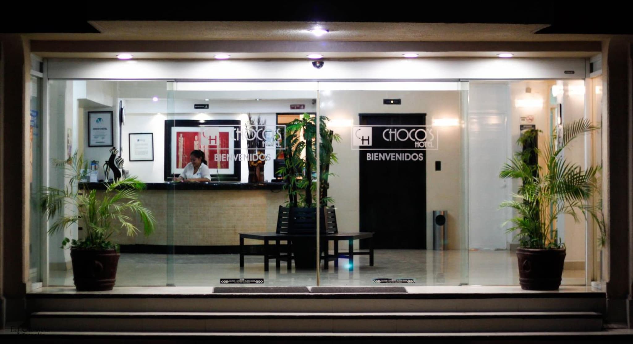 recepcion & lobby