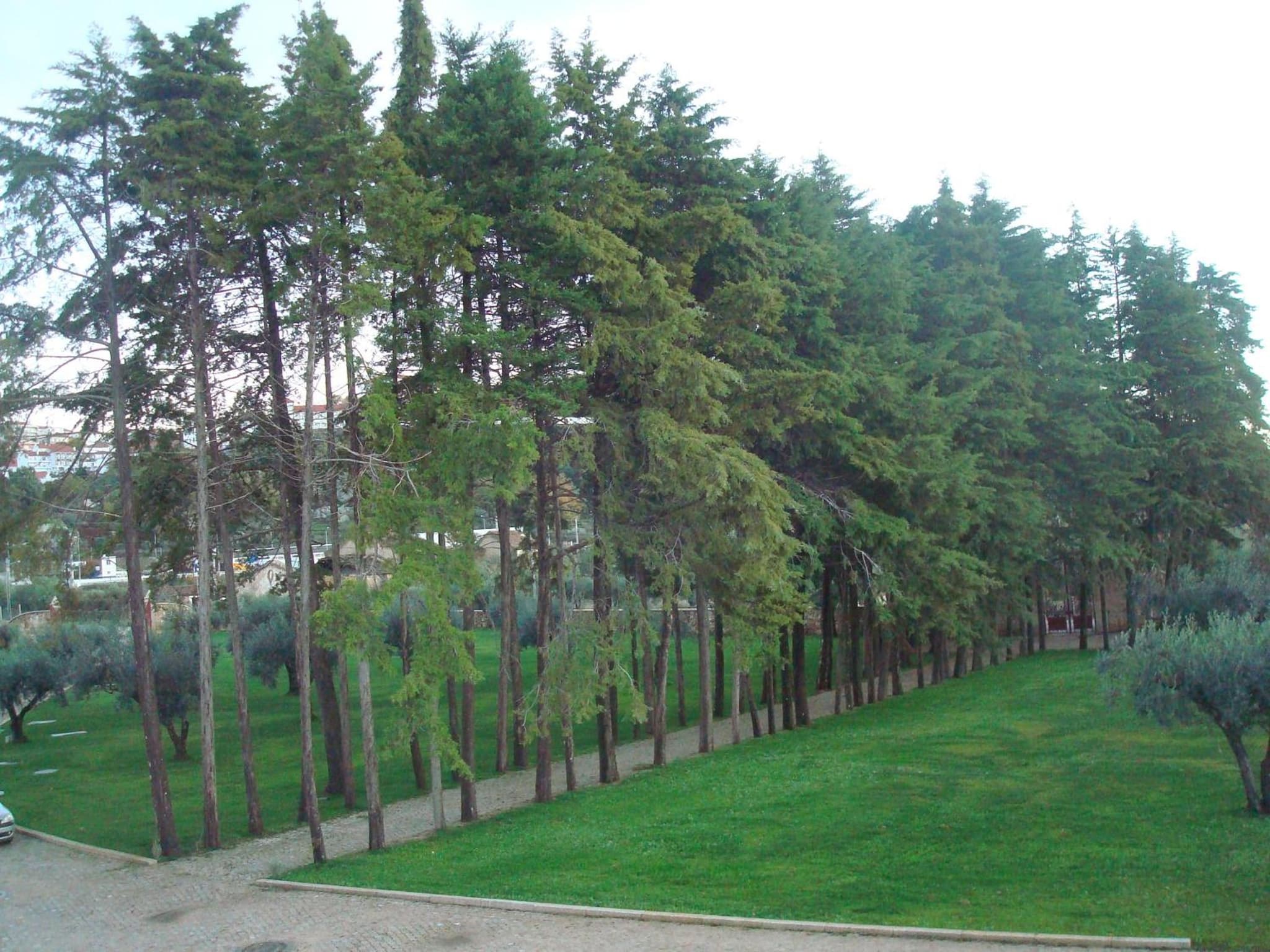 Palace Hotel & Spa Termas de São Tiago photo 6