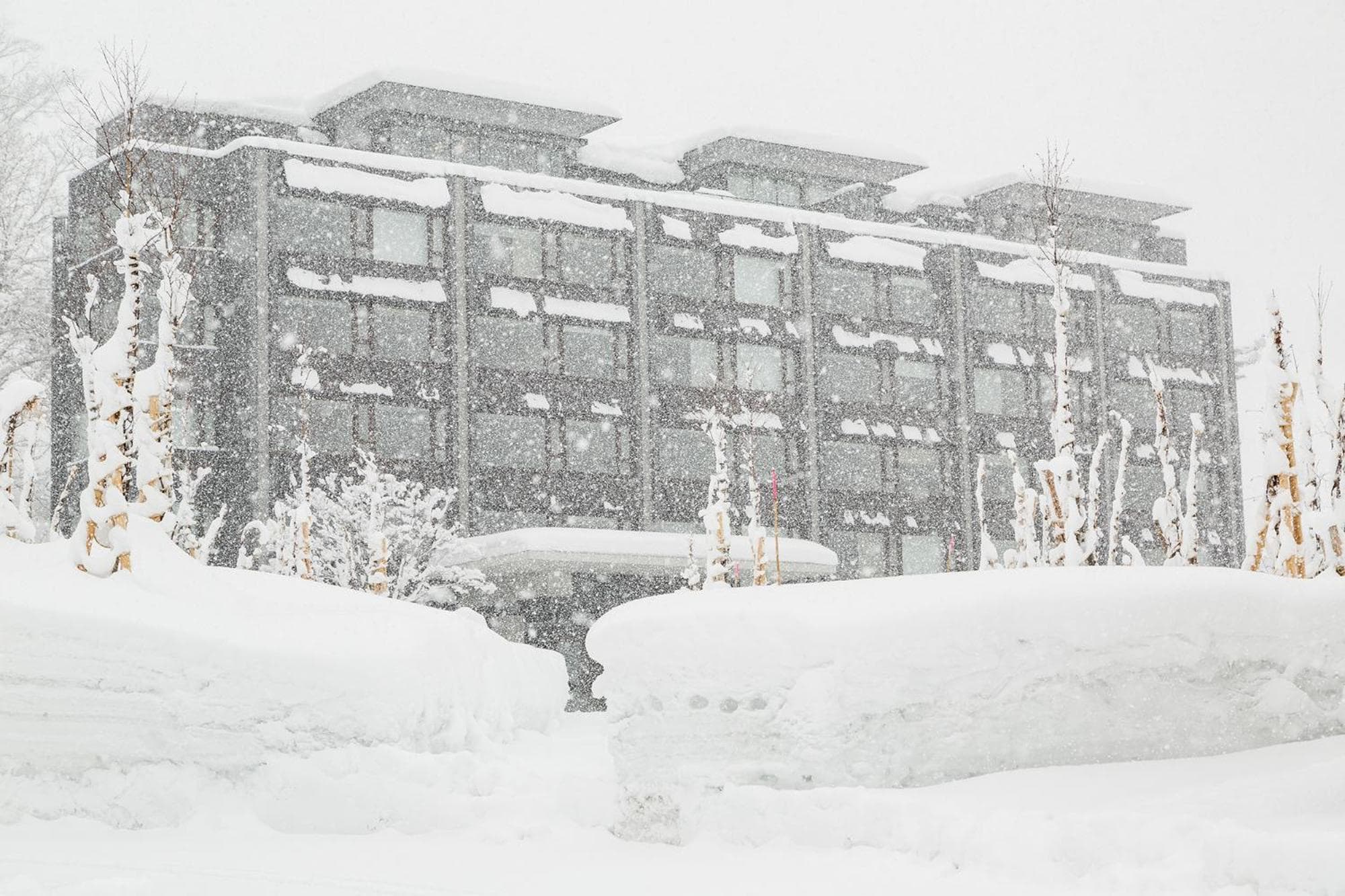 Ki Niseko photo 7