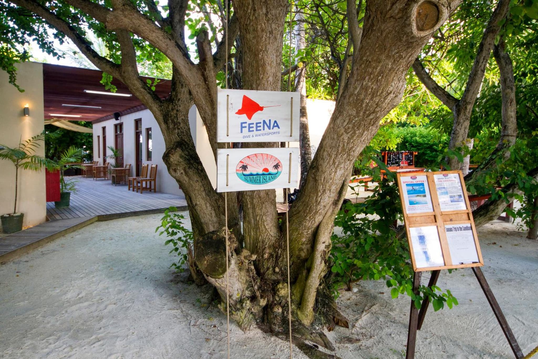Summer Island Maldives photo 6