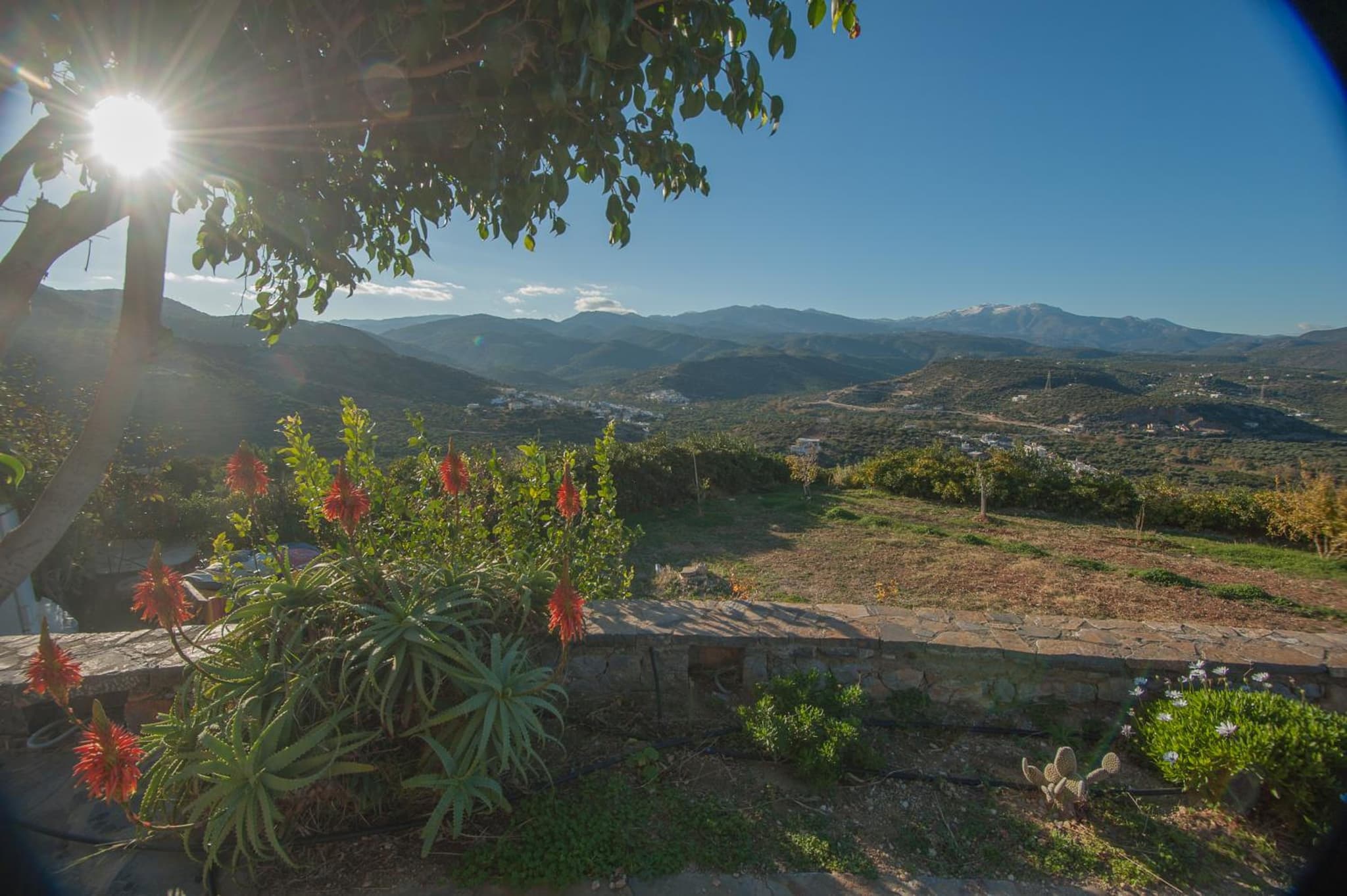 Marina Villas photo 3