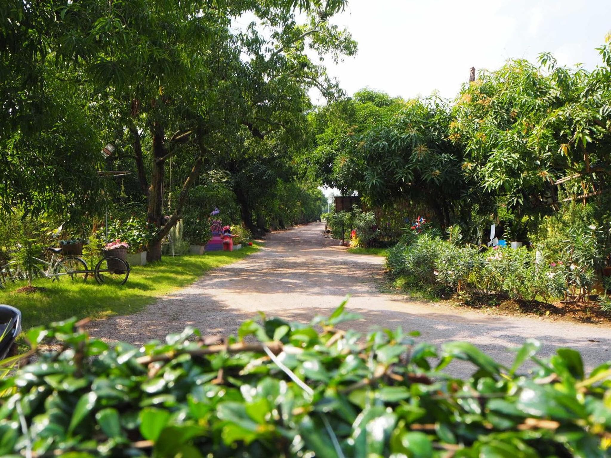 Baan Sai Nam photo 8