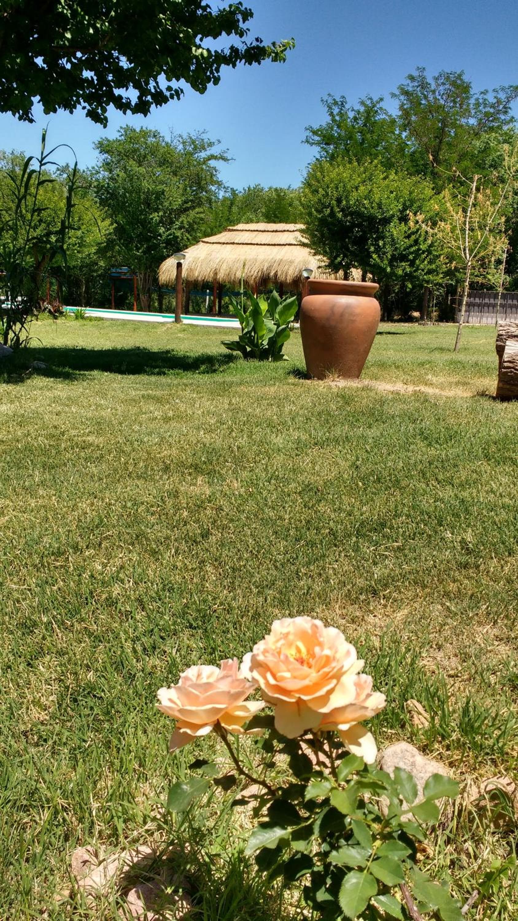 Amaikén Suites photo 6
