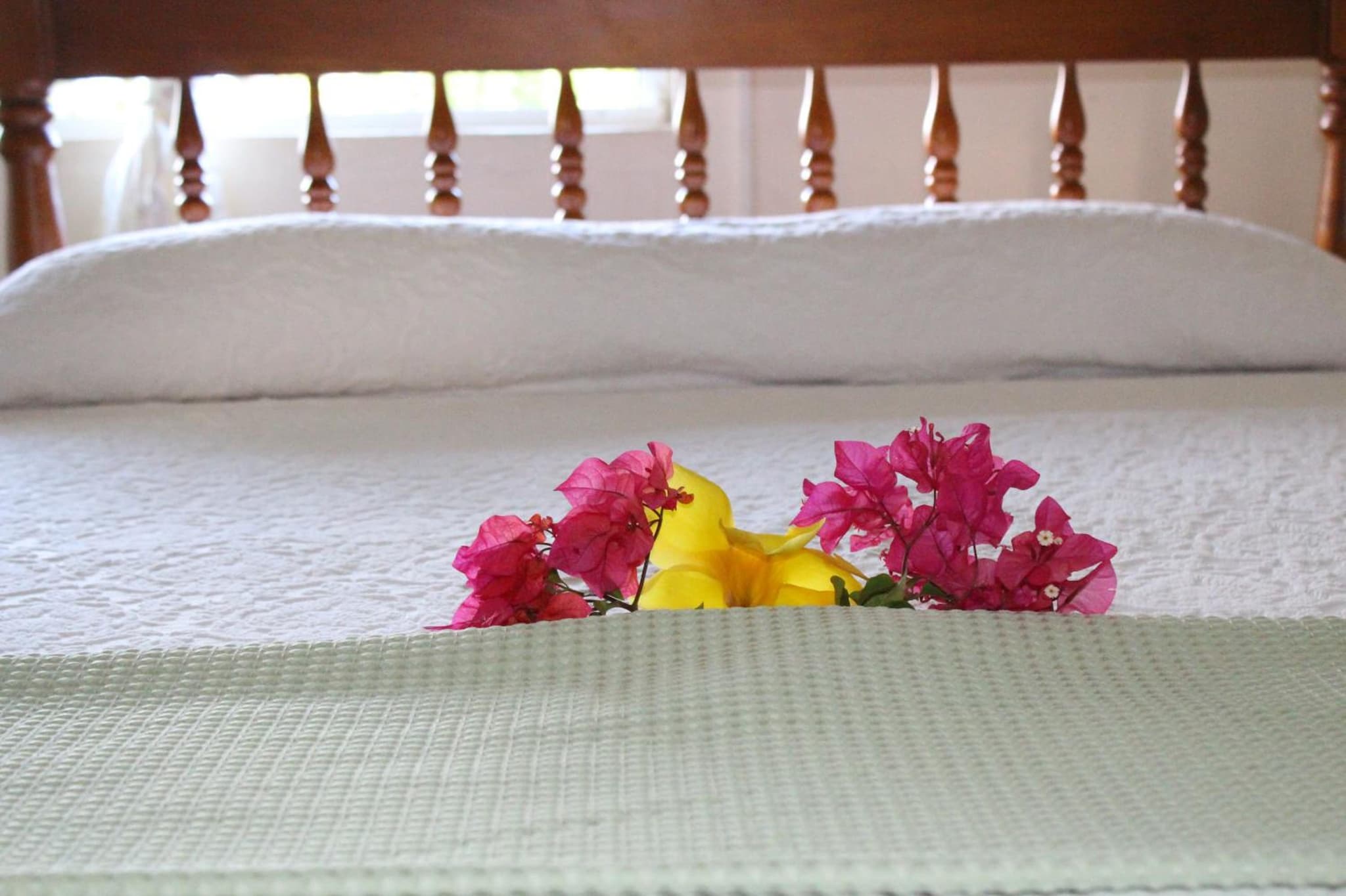 The Relax Inn photo 3