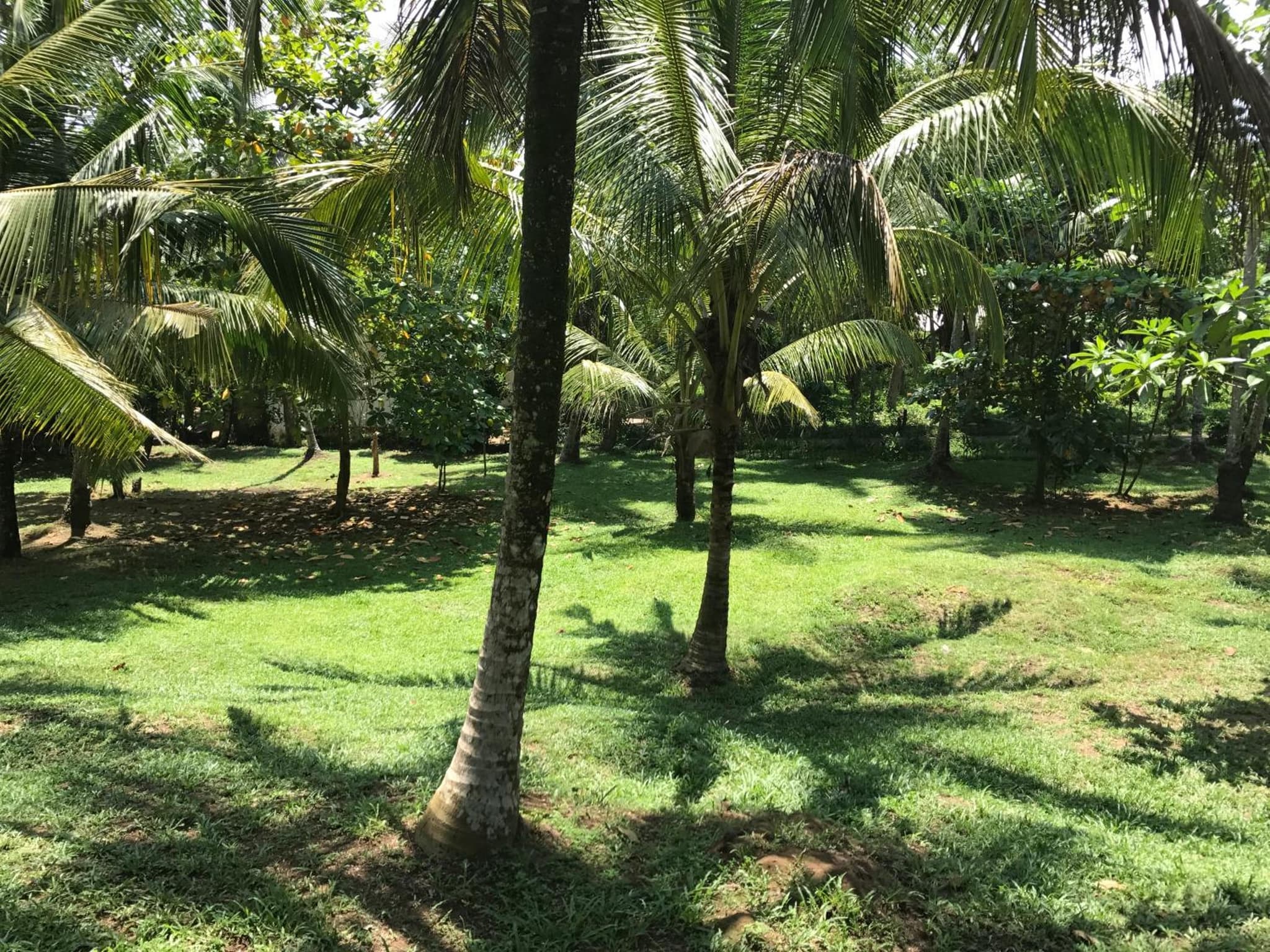 Good Vibes Villas photo 4