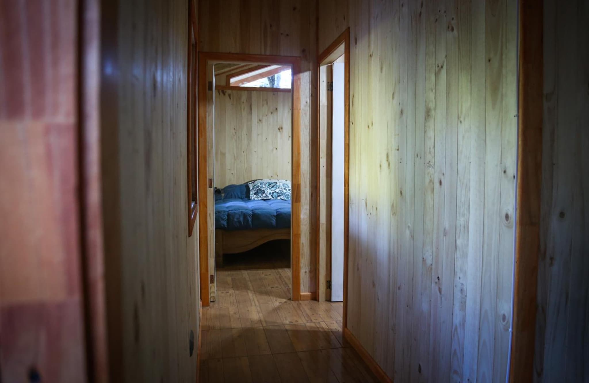 Llaima Camp photo 4