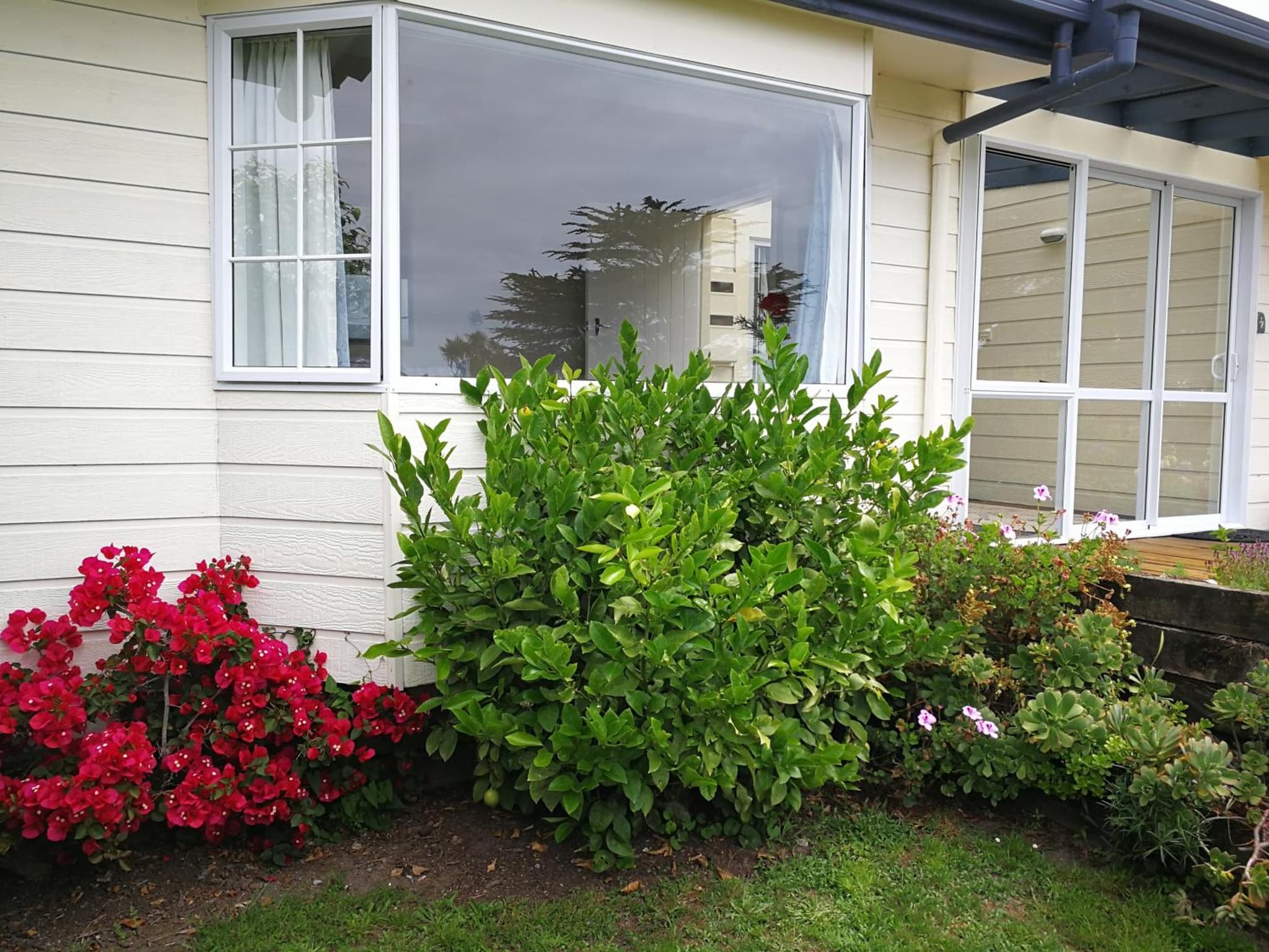 Mont's Cottage photo 3