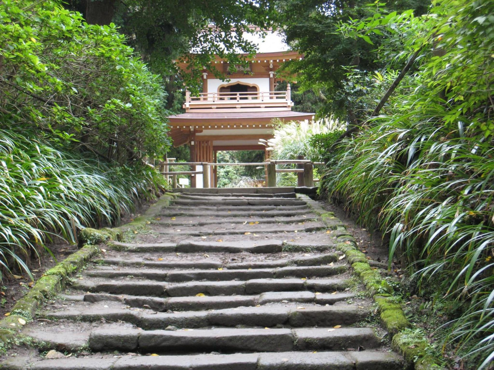 WeBase KAMAKURA photo 6