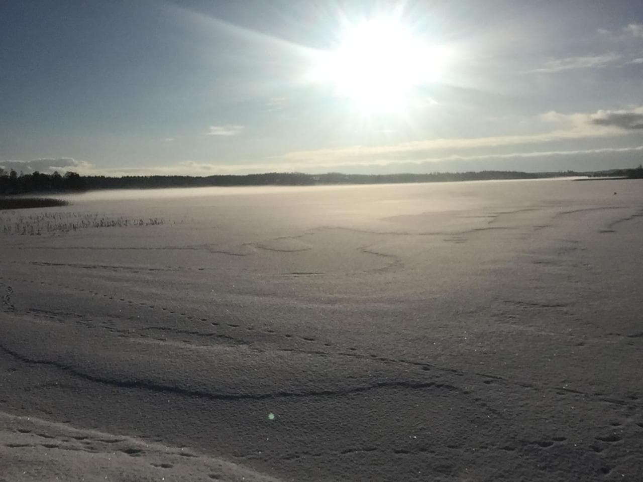 Ferienhaus am Mycklaflon photo 9