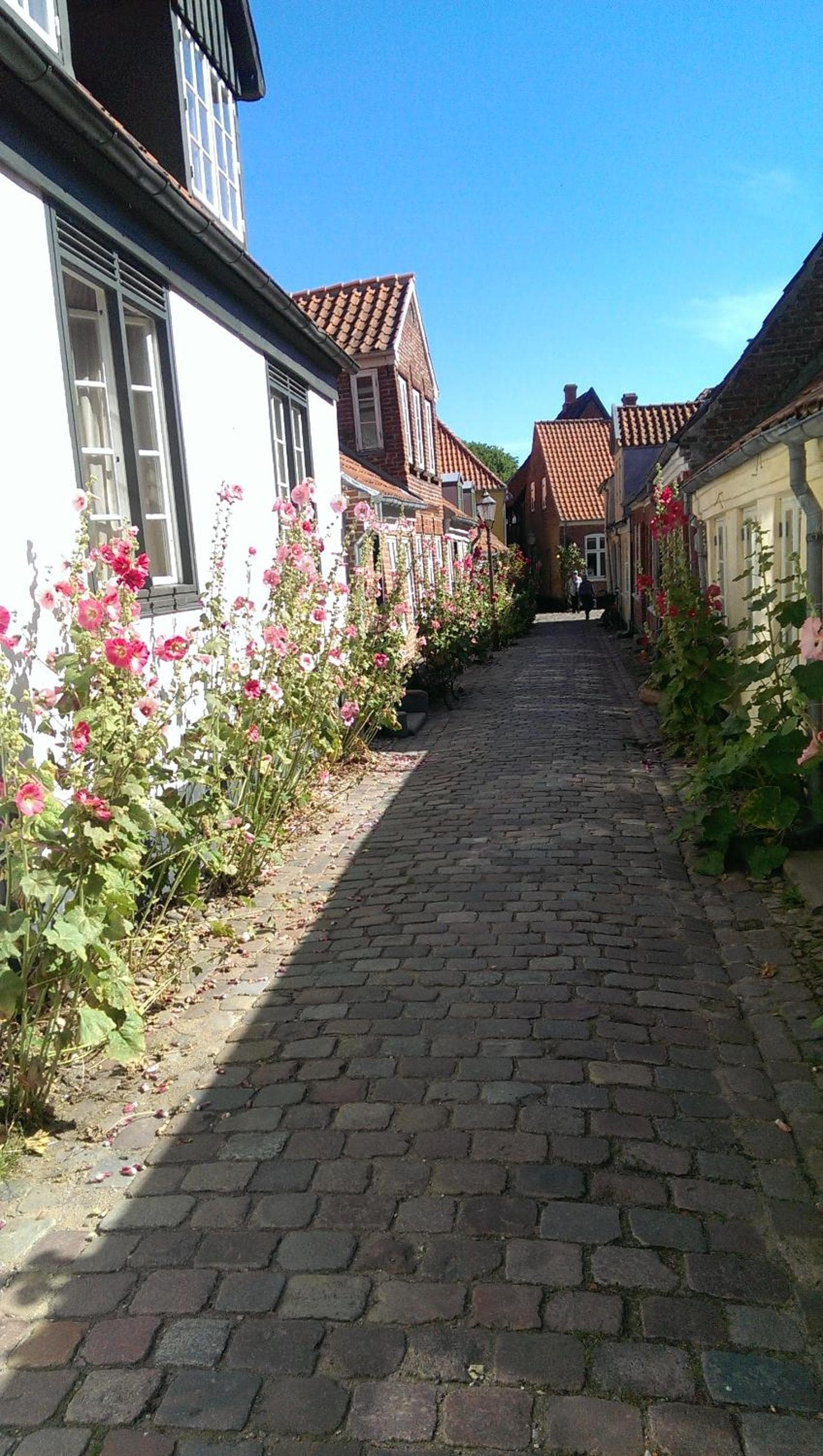 Peder Dovns Slippe photo 9