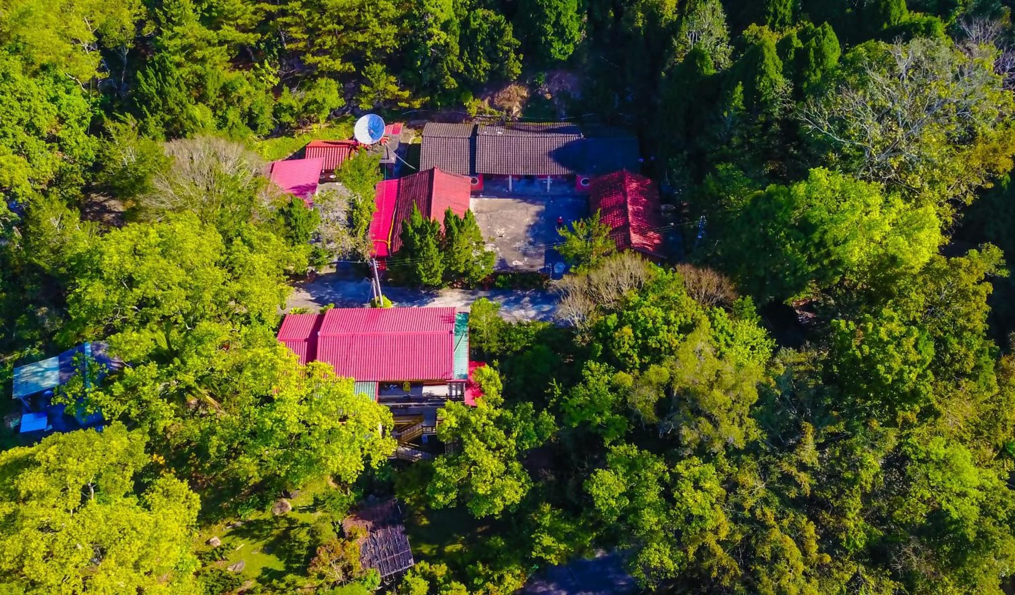 Hong Wa Cuo南投埔里紅瓦厝山居民宿森林系住宿生態手作體驗 photo 3