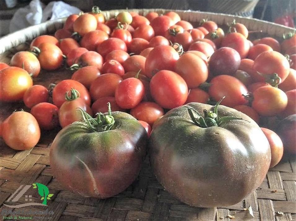 Bhattidanda Fresh & Natural Homestay photo 5