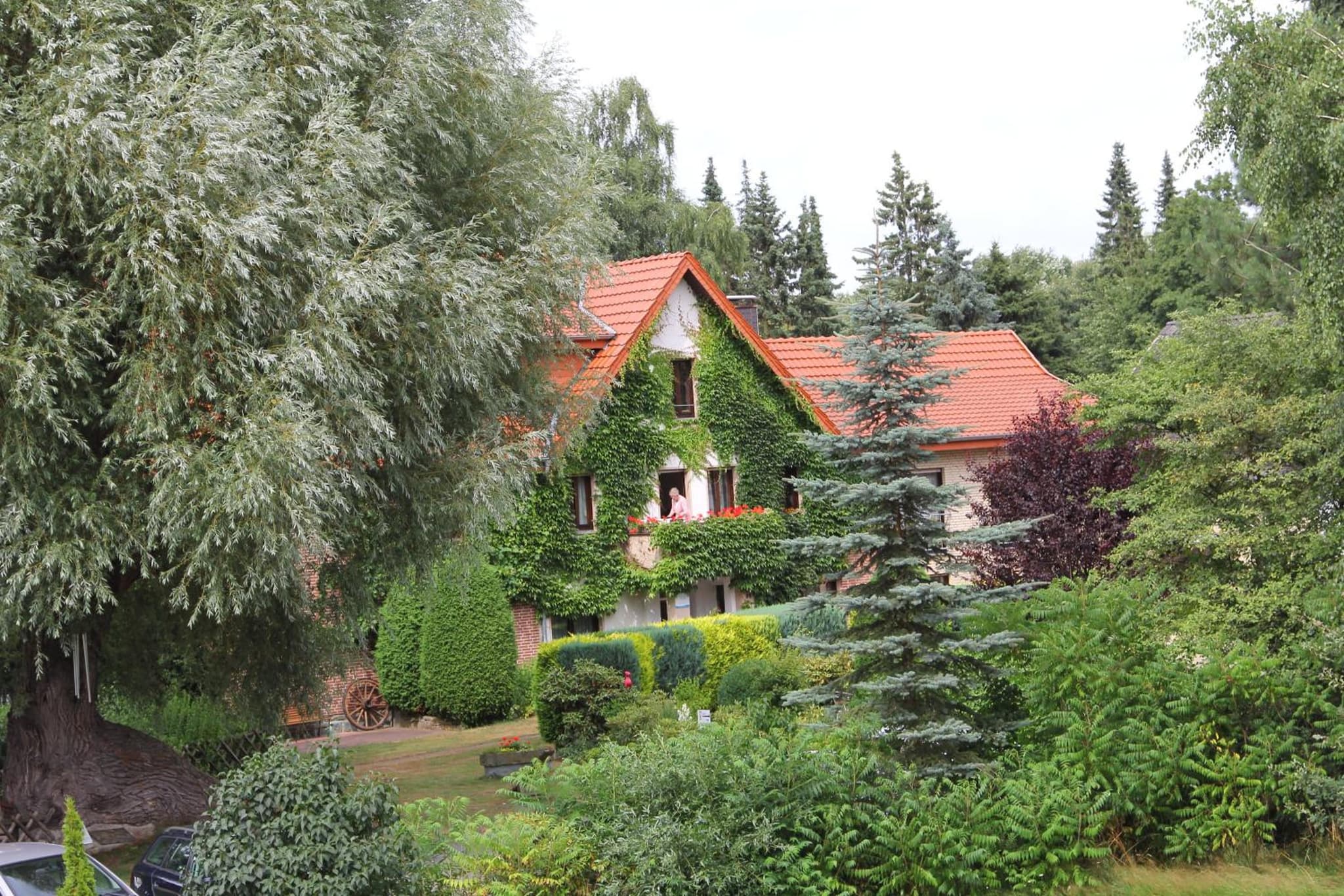 Hotel-Pension Haus Holtdirk