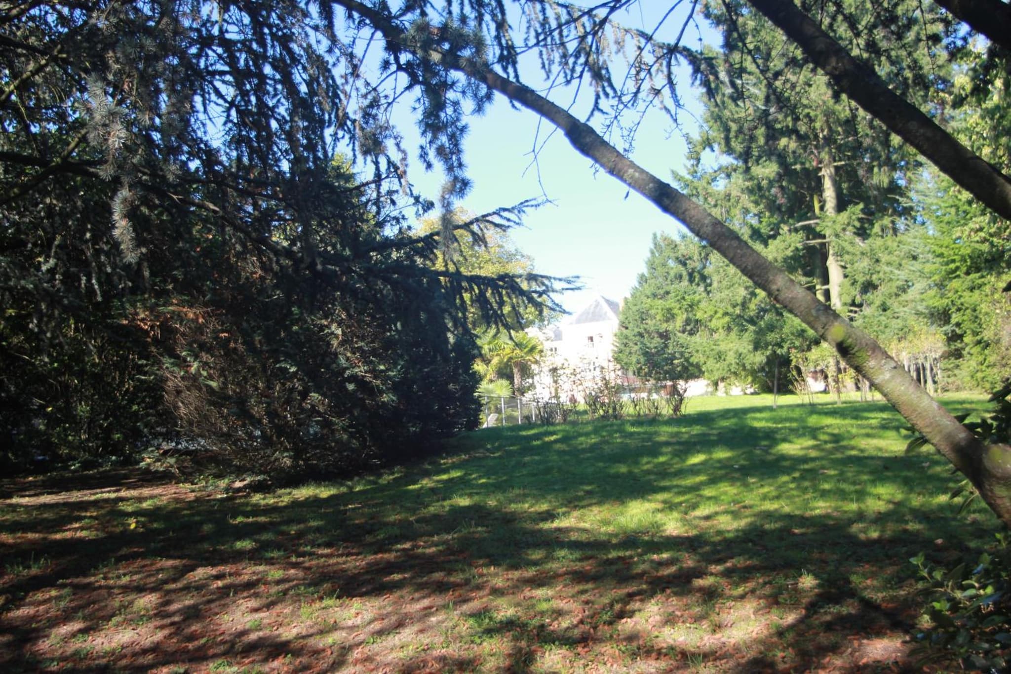 Chateau de la Chapelle des Bois photo 2