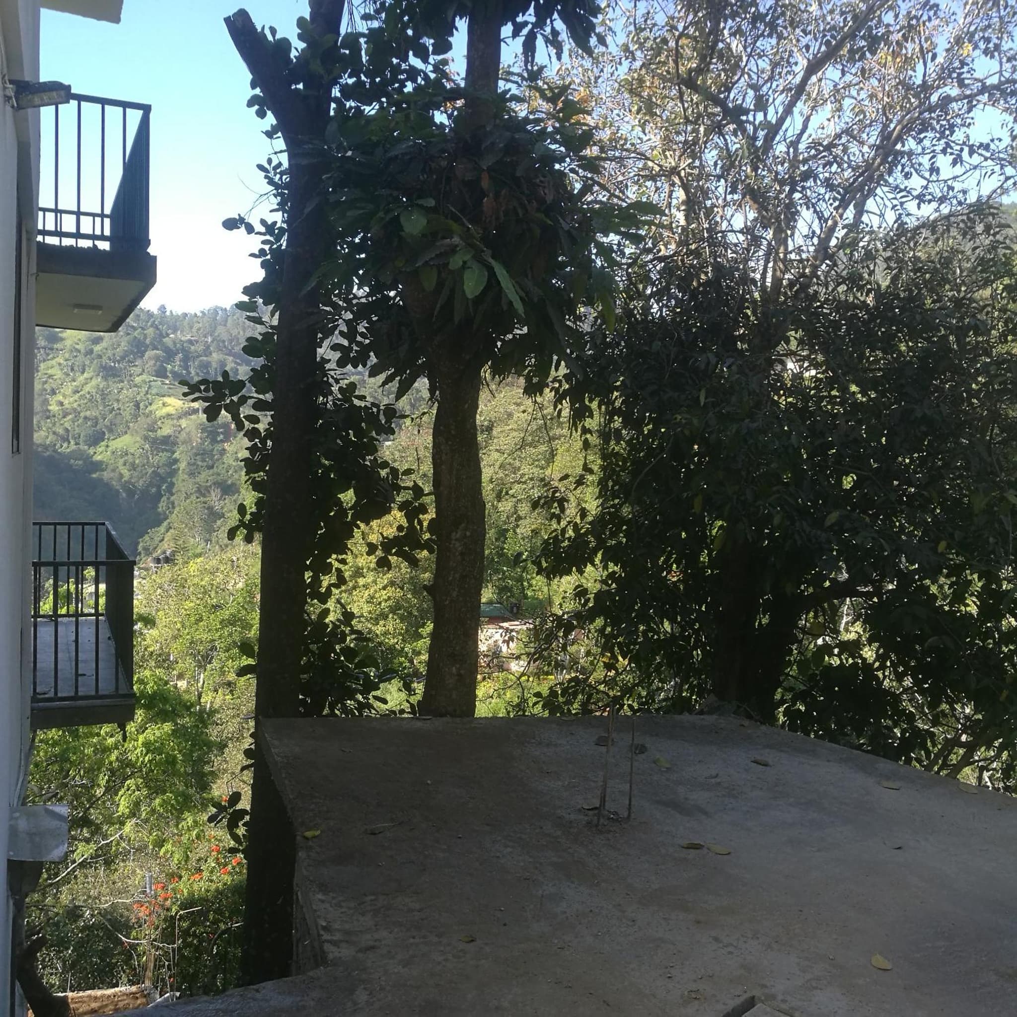 Viewfront Ella photo 3